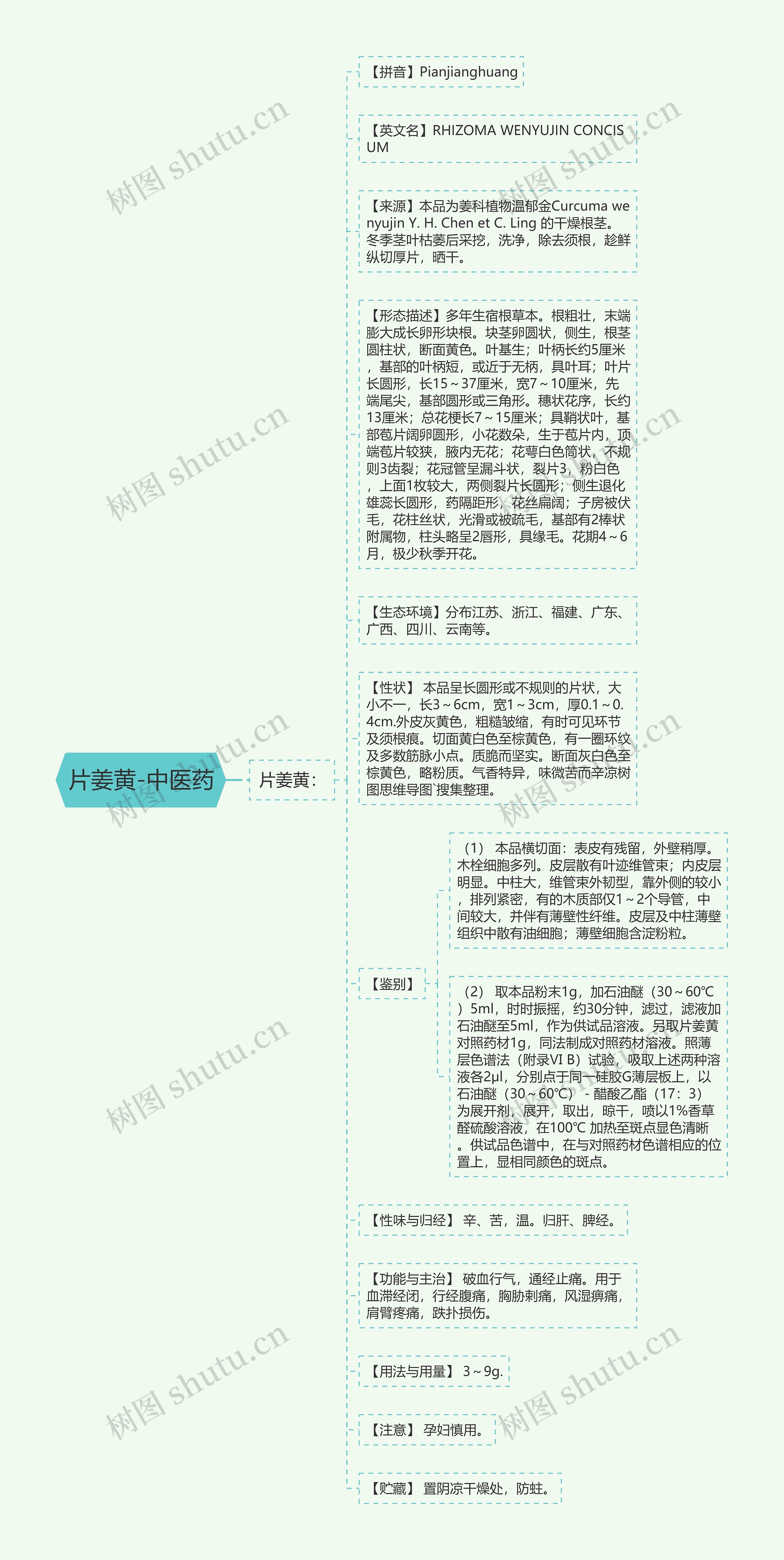 片姜黄-中医药思维导图