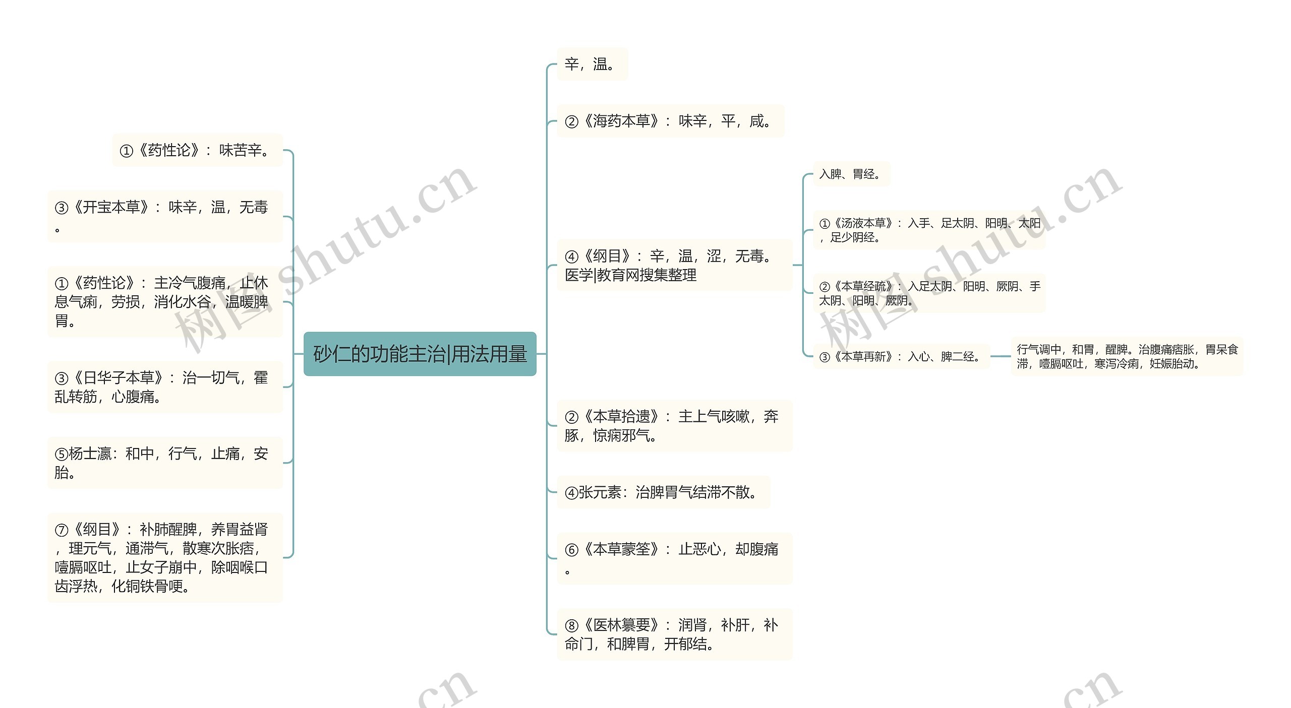 砂仁的功能主治|用法用量思维导图