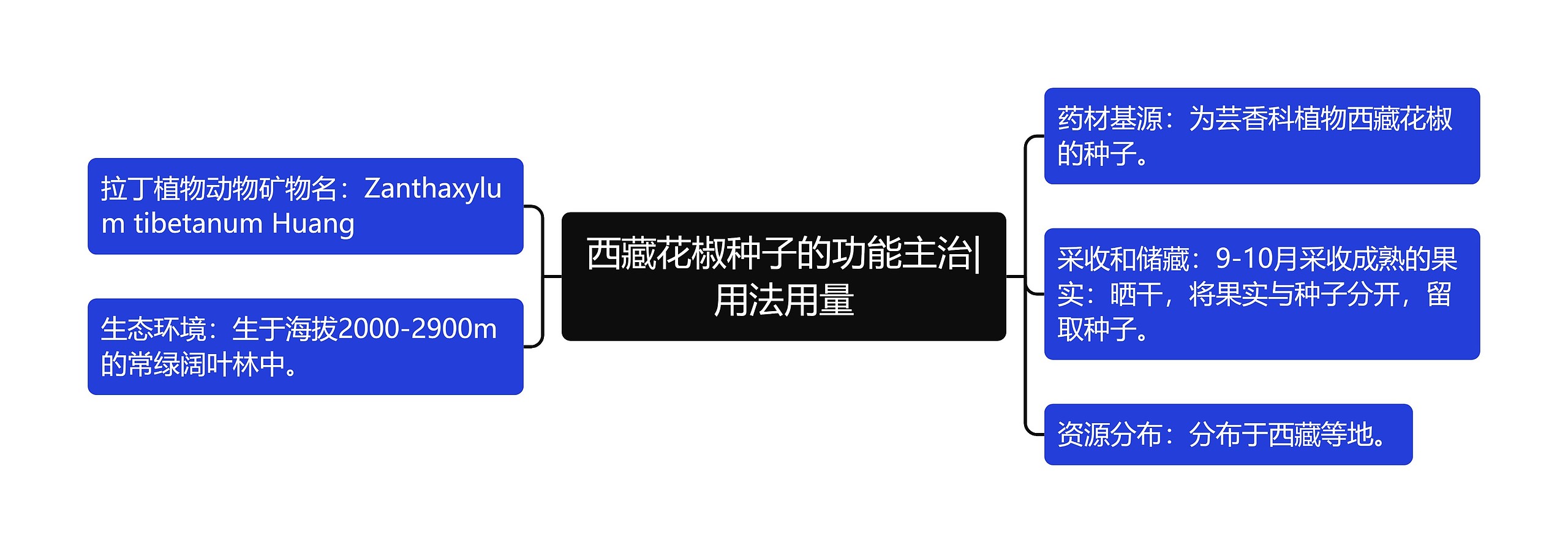 西藏花椒种子的功能主治|用法用量思维导图