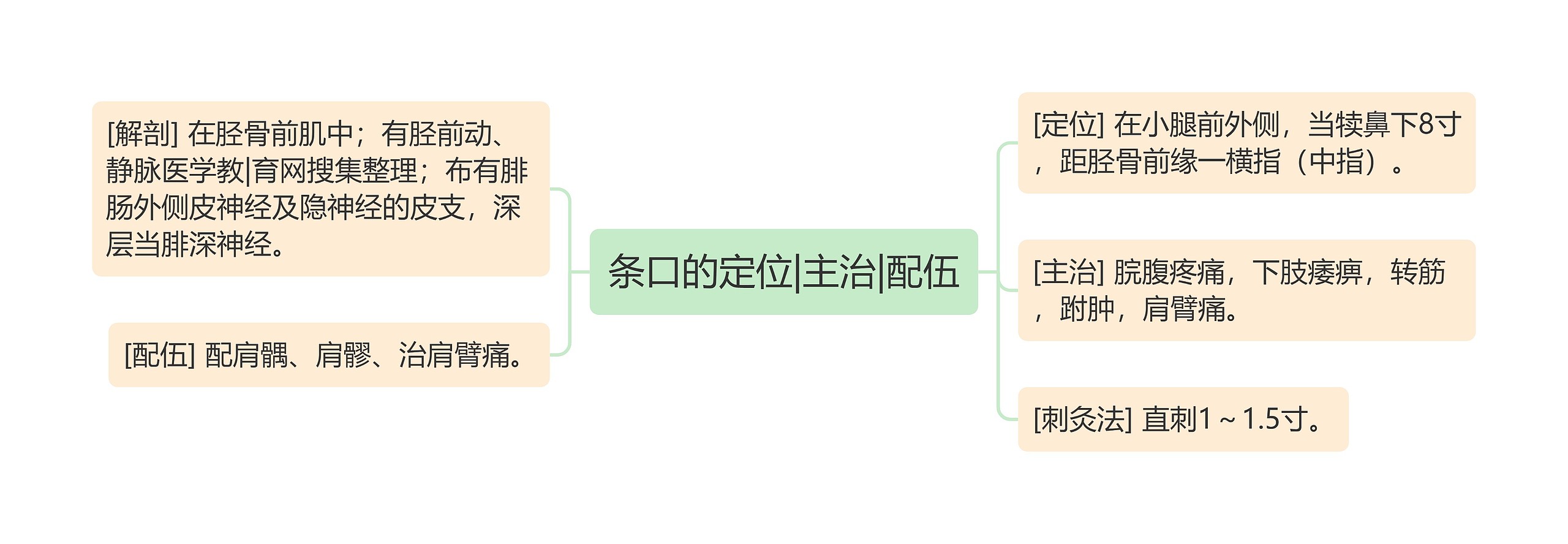 条口的定位|主治|配伍