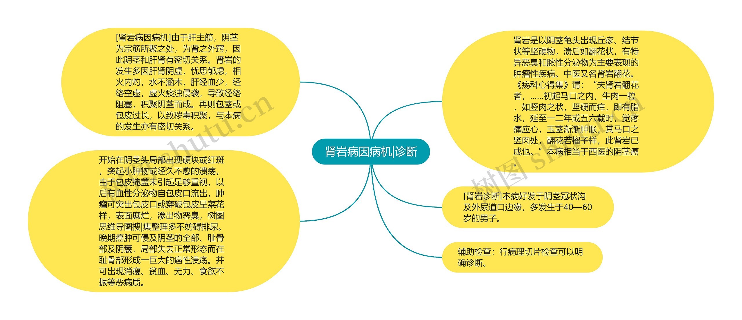 肾岩病因病机|诊断