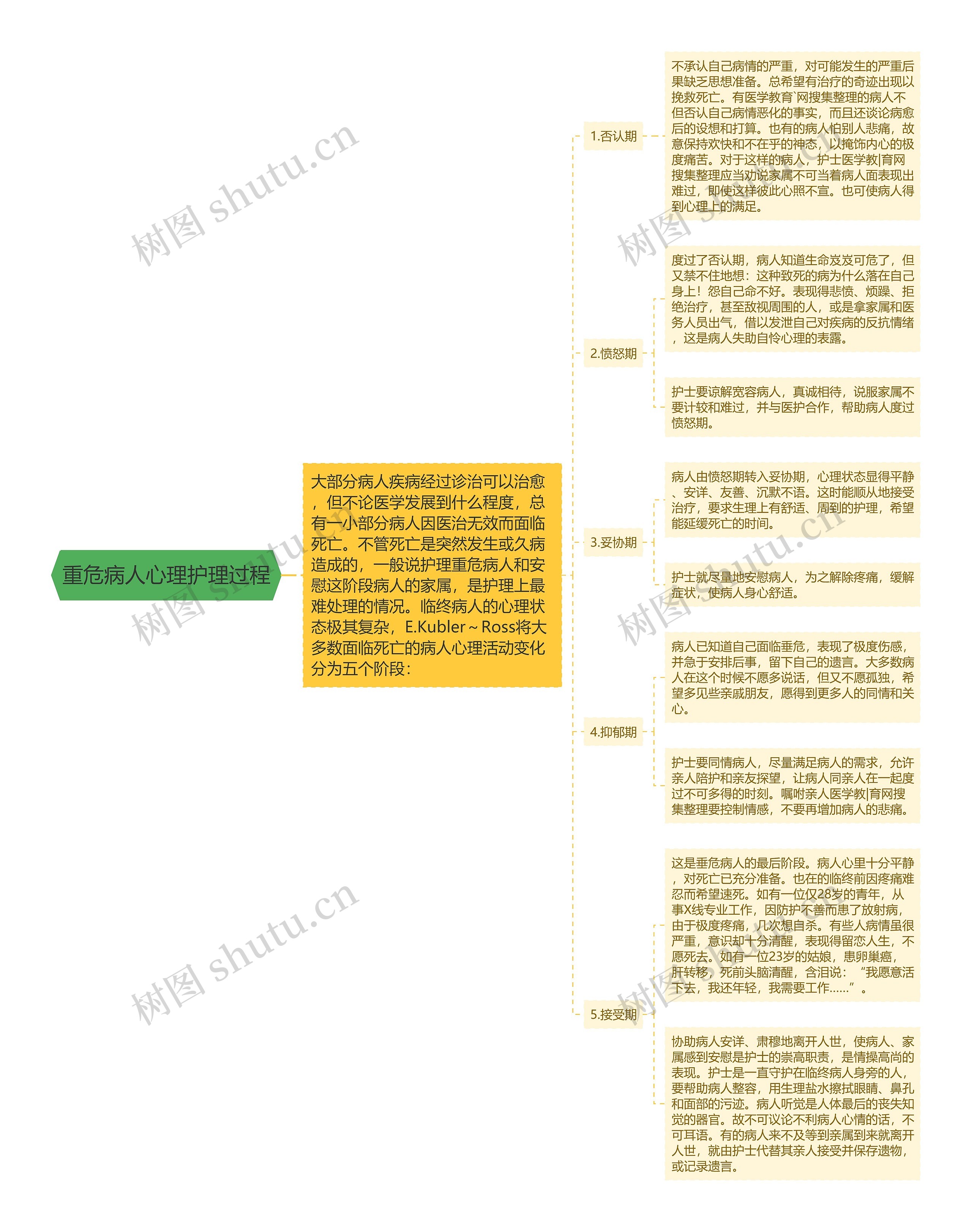 重危病人心理护理过程思维导图