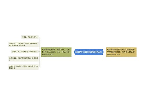 脉导管未闭病理解剖特点