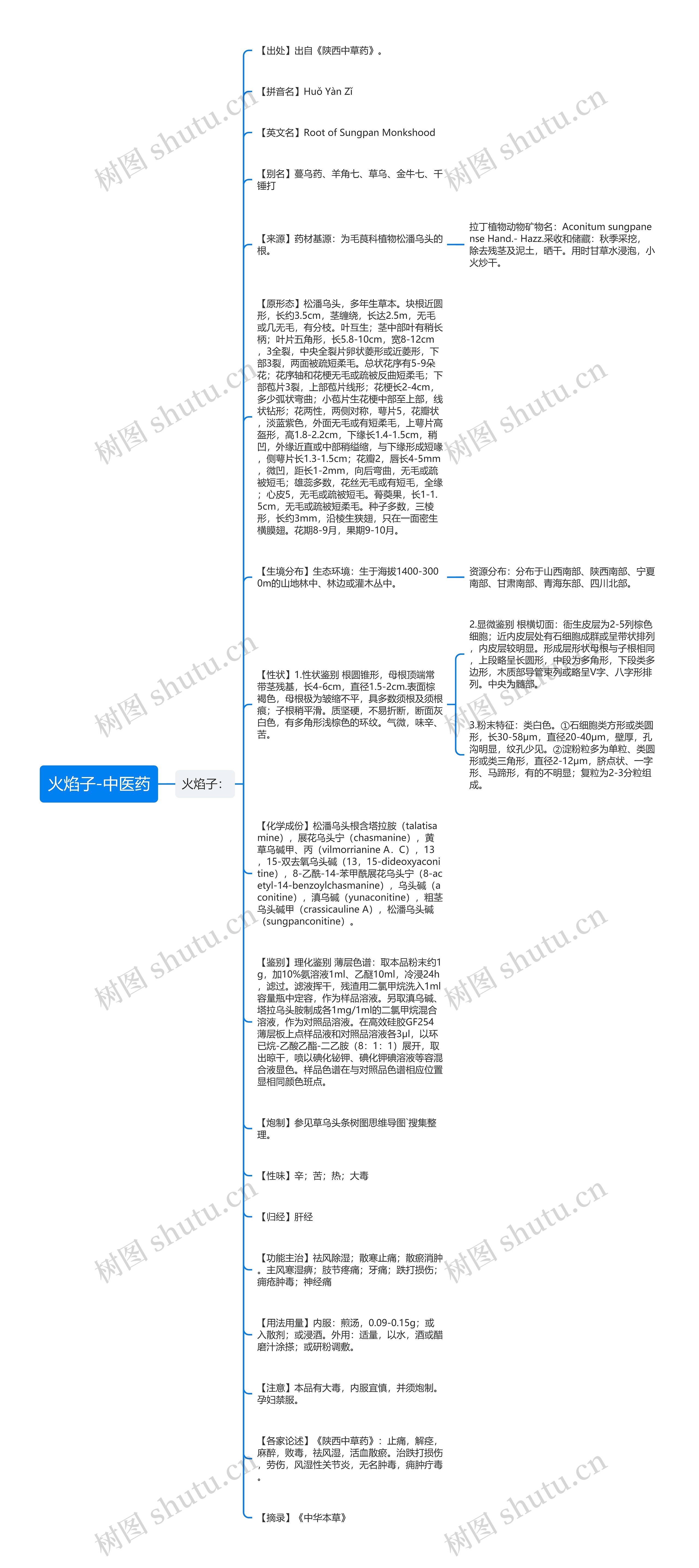 火焰子-中医药思维导图
