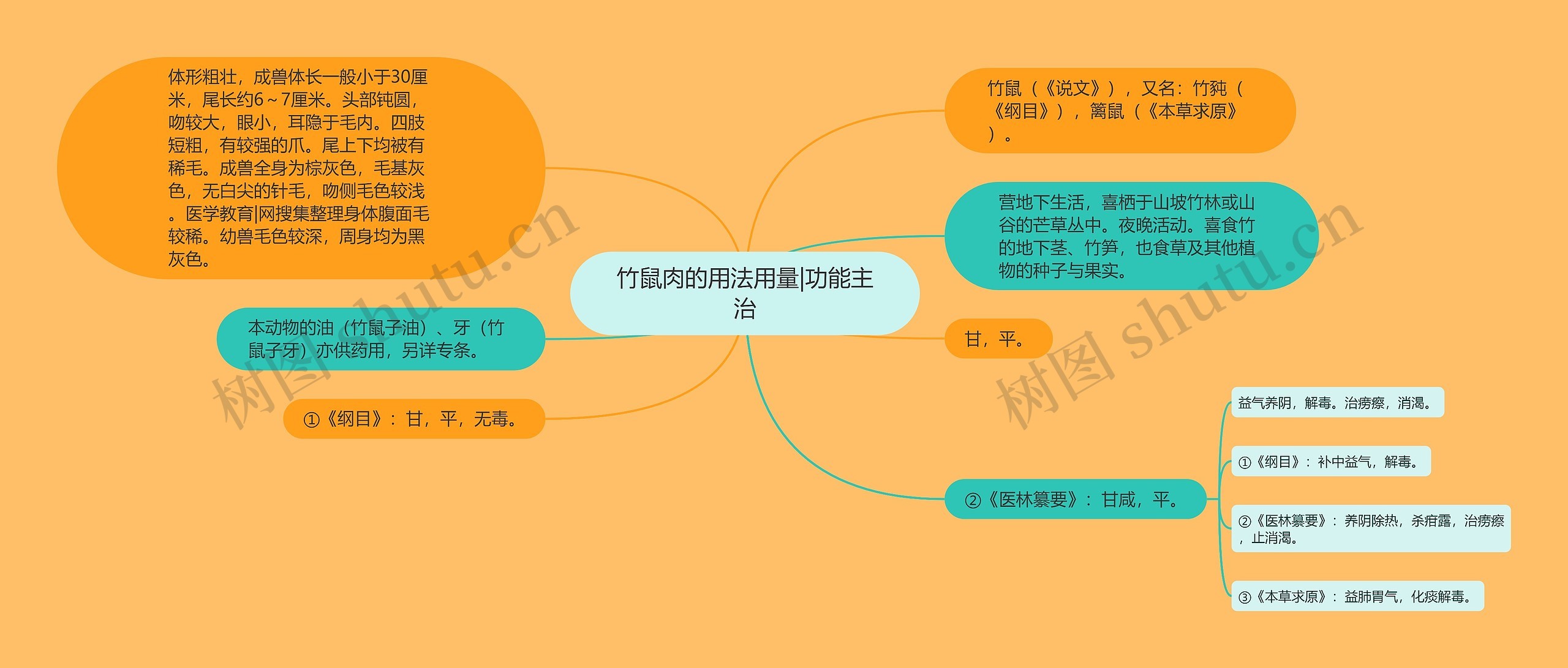 竹鼠肉的用法用量|功能主治