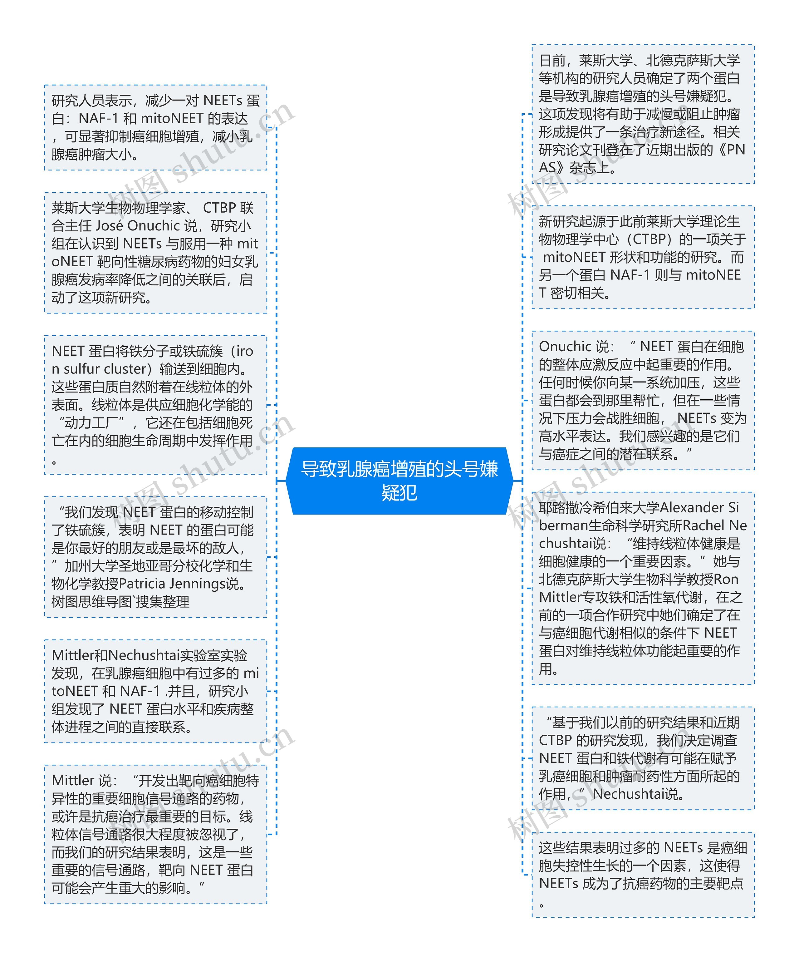 导致乳腺癌增殖的头号嫌疑犯思维导图