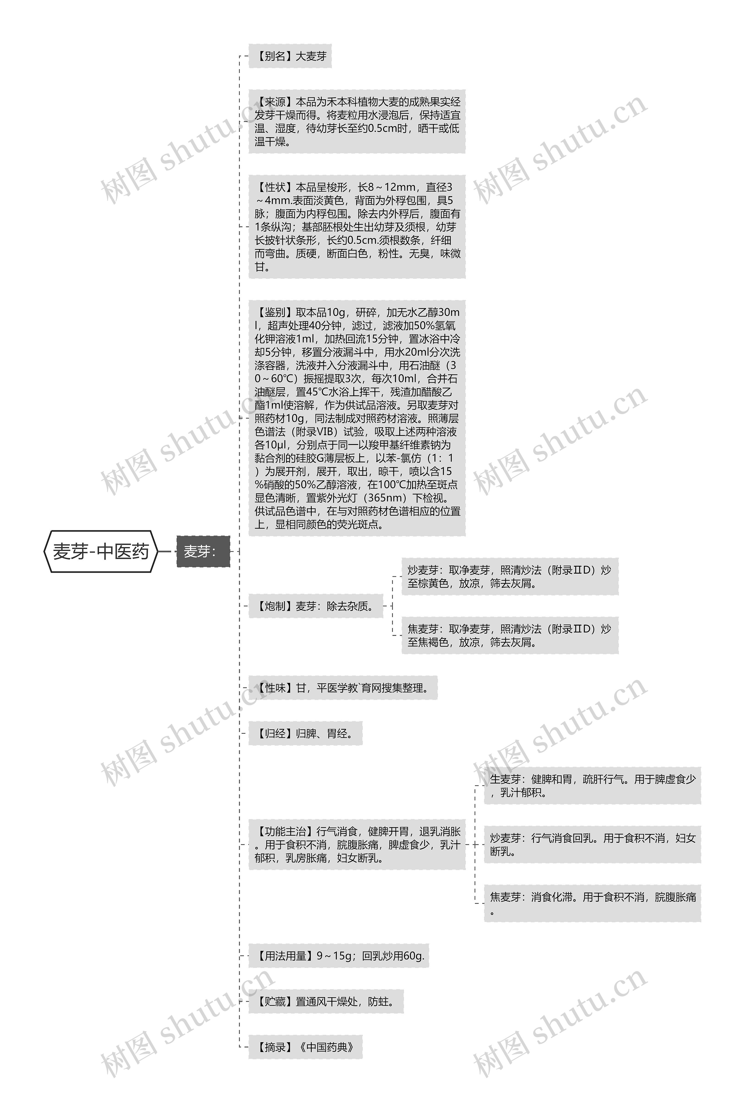 麦芽-中医药思维导图