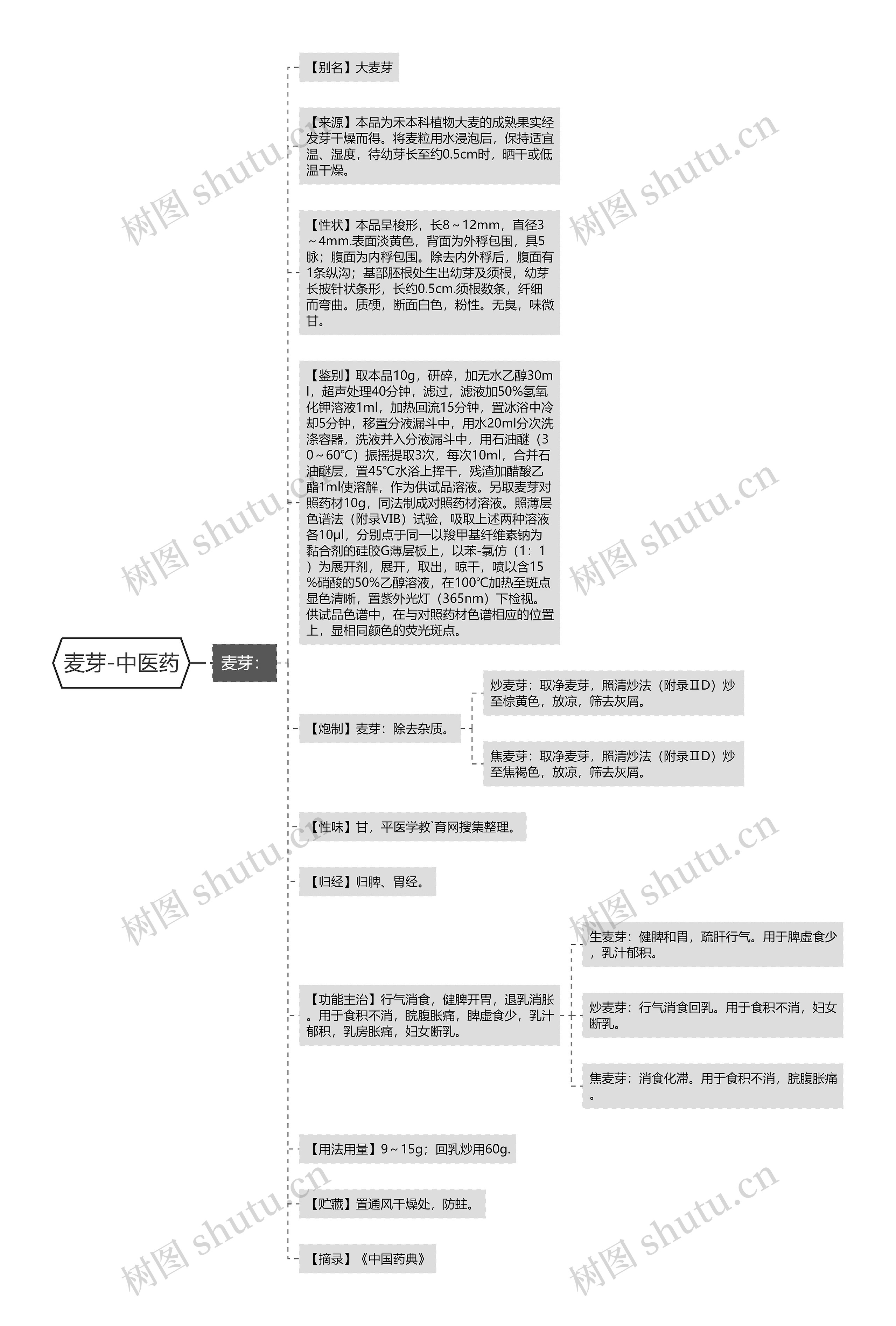 麦芽-中医药思维导图高清图 麦芽-中医药思维导图