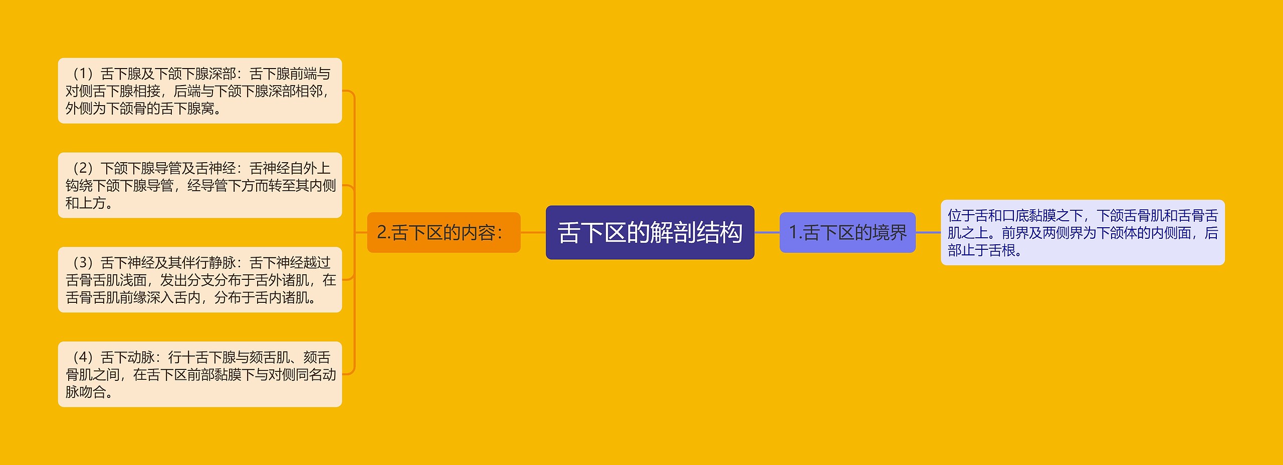 舌下区的解剖结构 舌下区的解剖结构