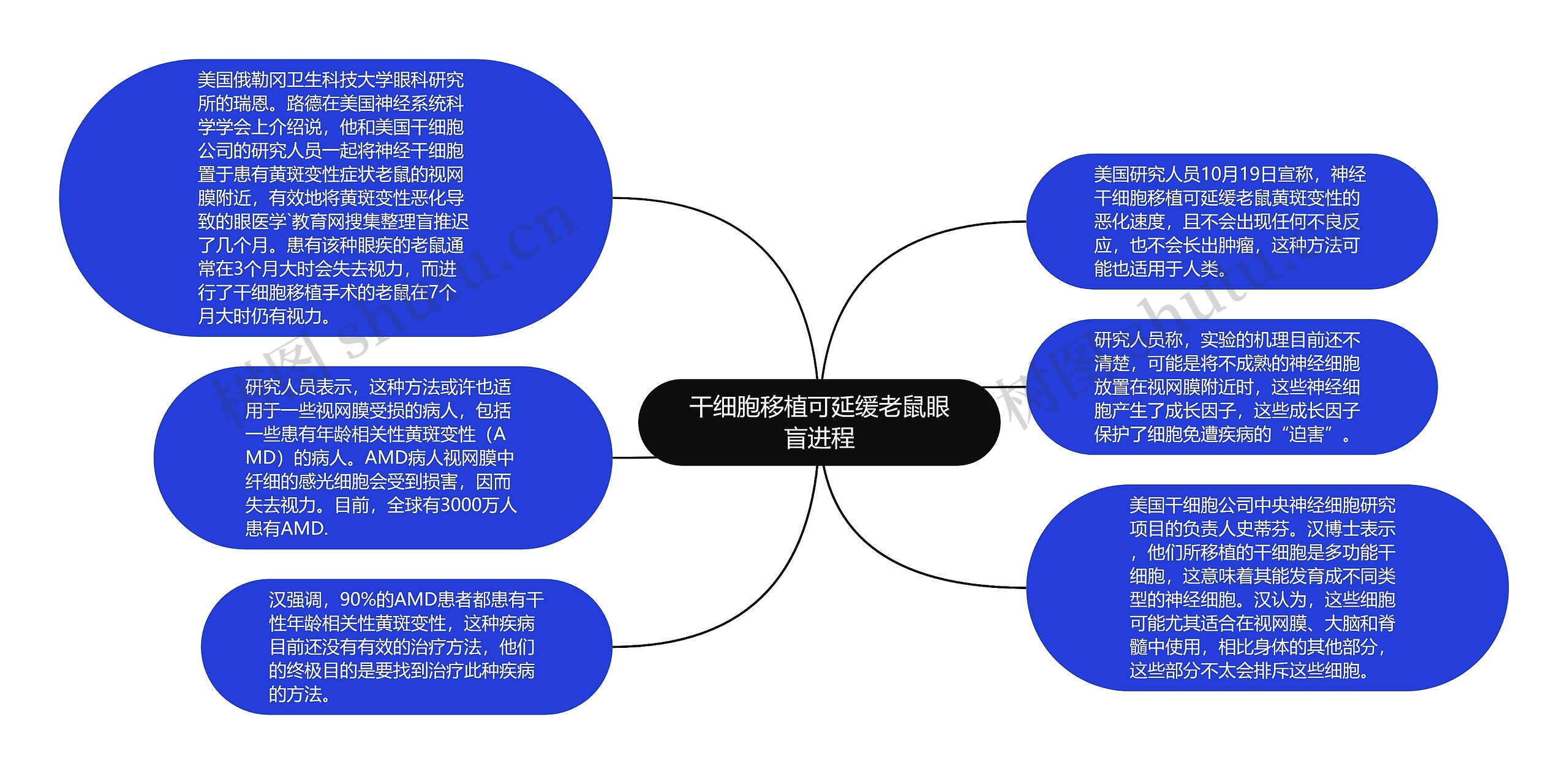 干细胞移植可延缓老鼠眼盲进程