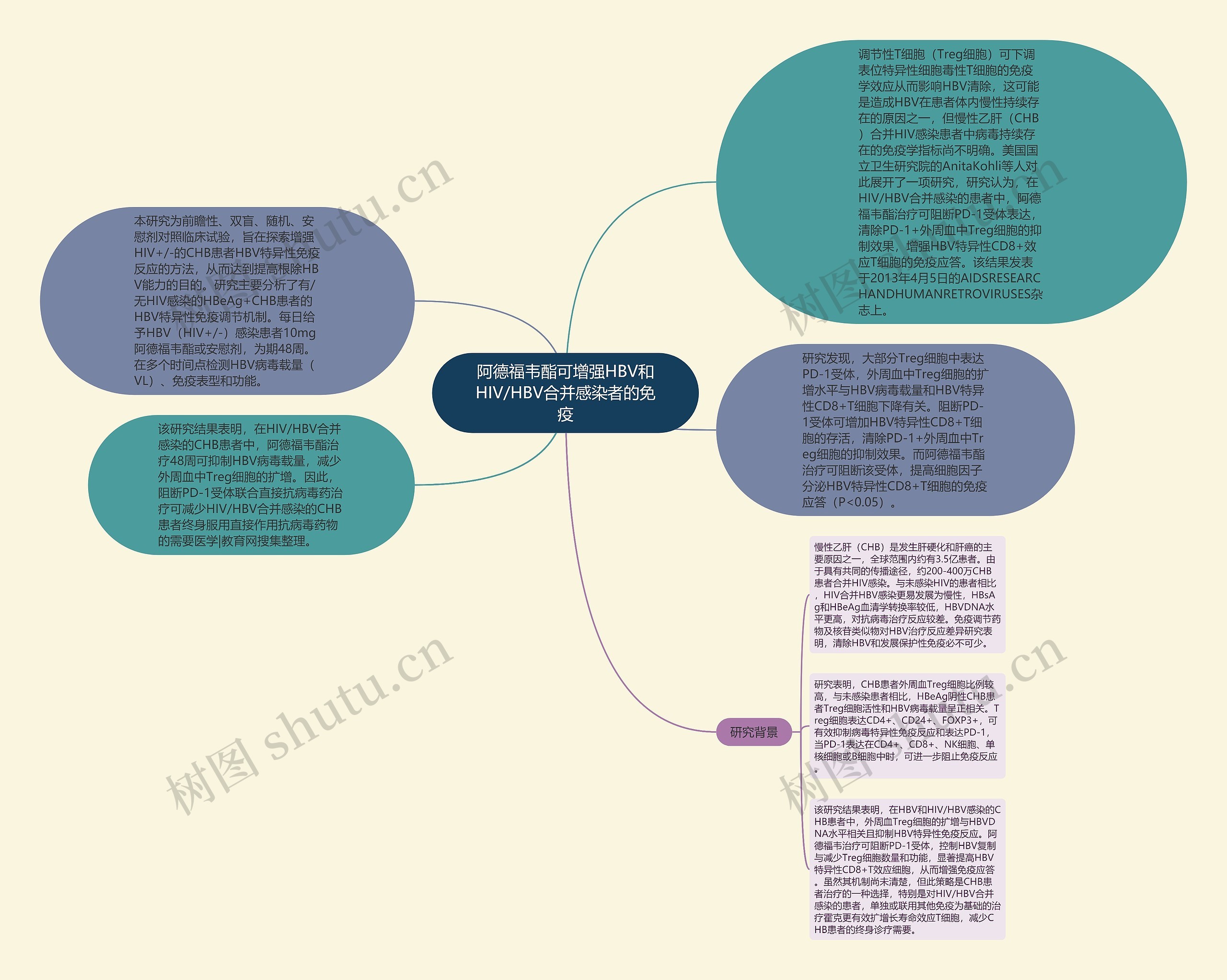 阿德福韦酯可增强HBV和HIV/HBV合并感染者的免疫思维导图