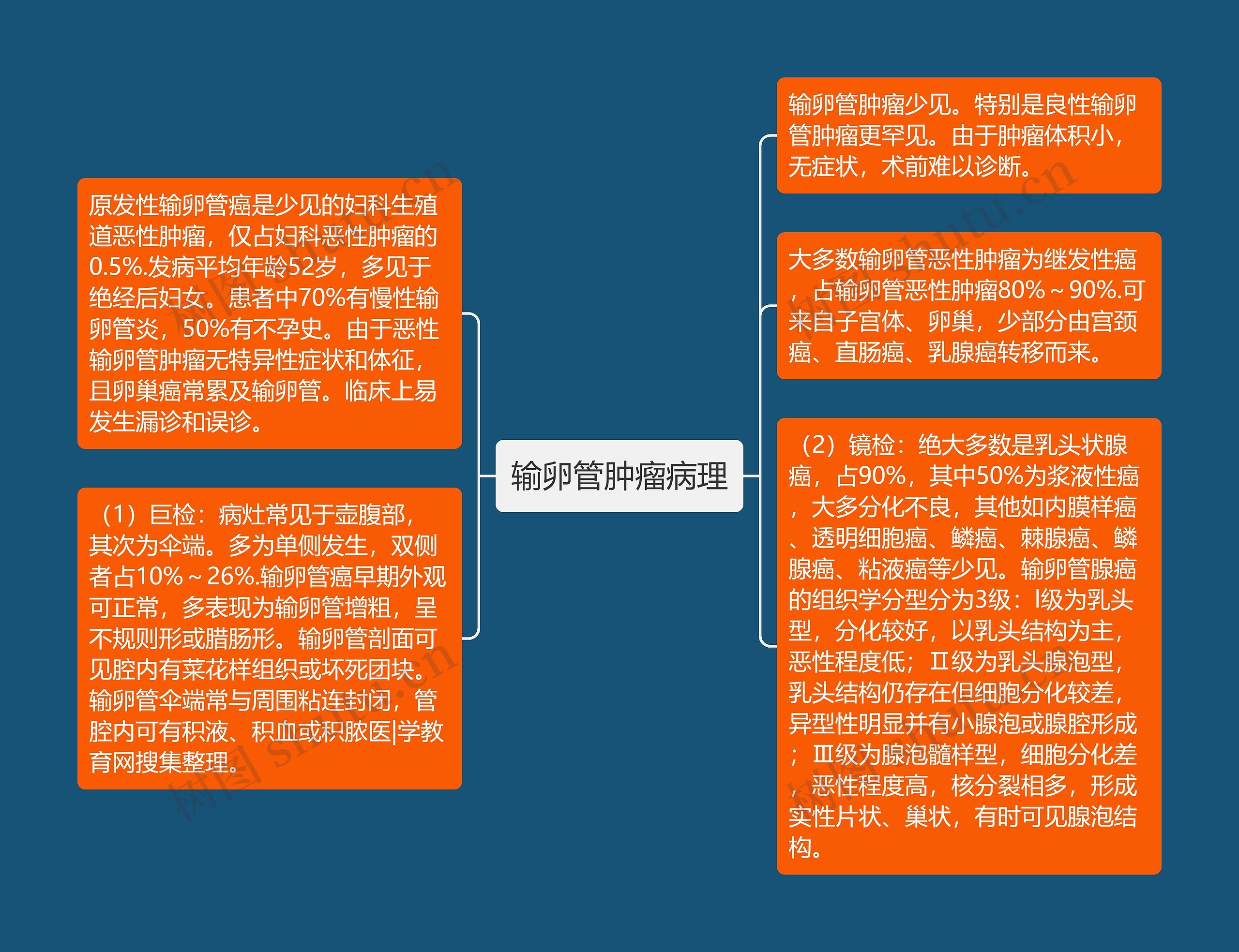 输卵管肿瘤病理 输卵管肿瘤病理