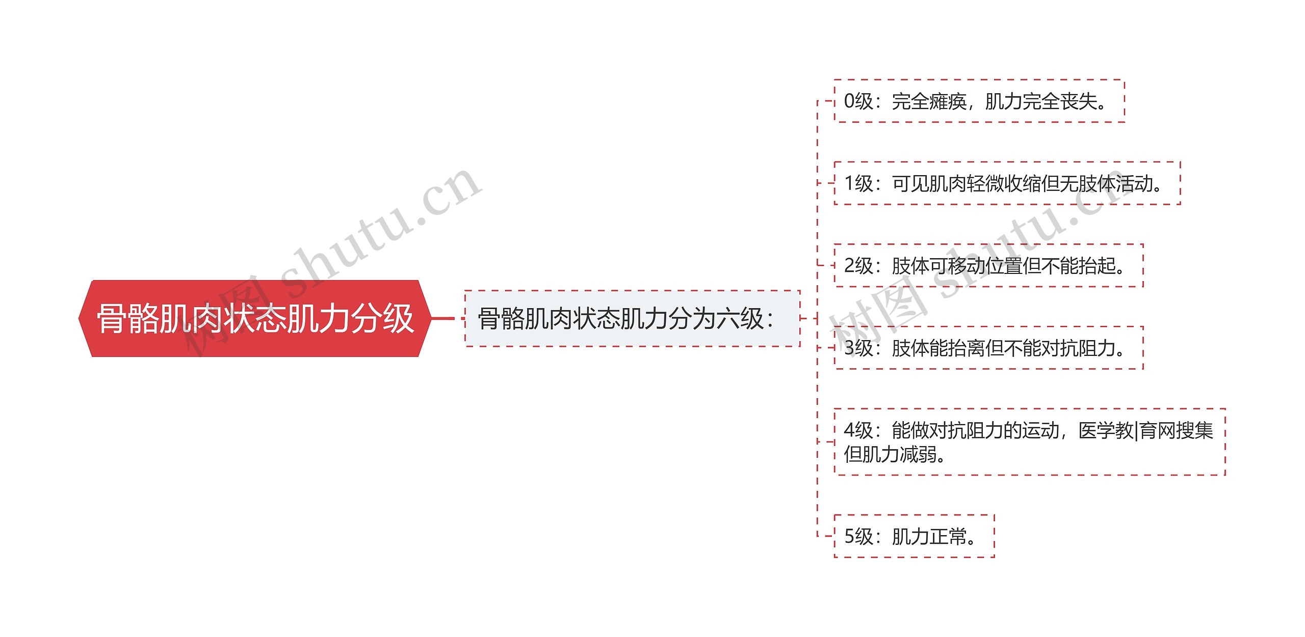 骨骼肌肉状态肌力分级