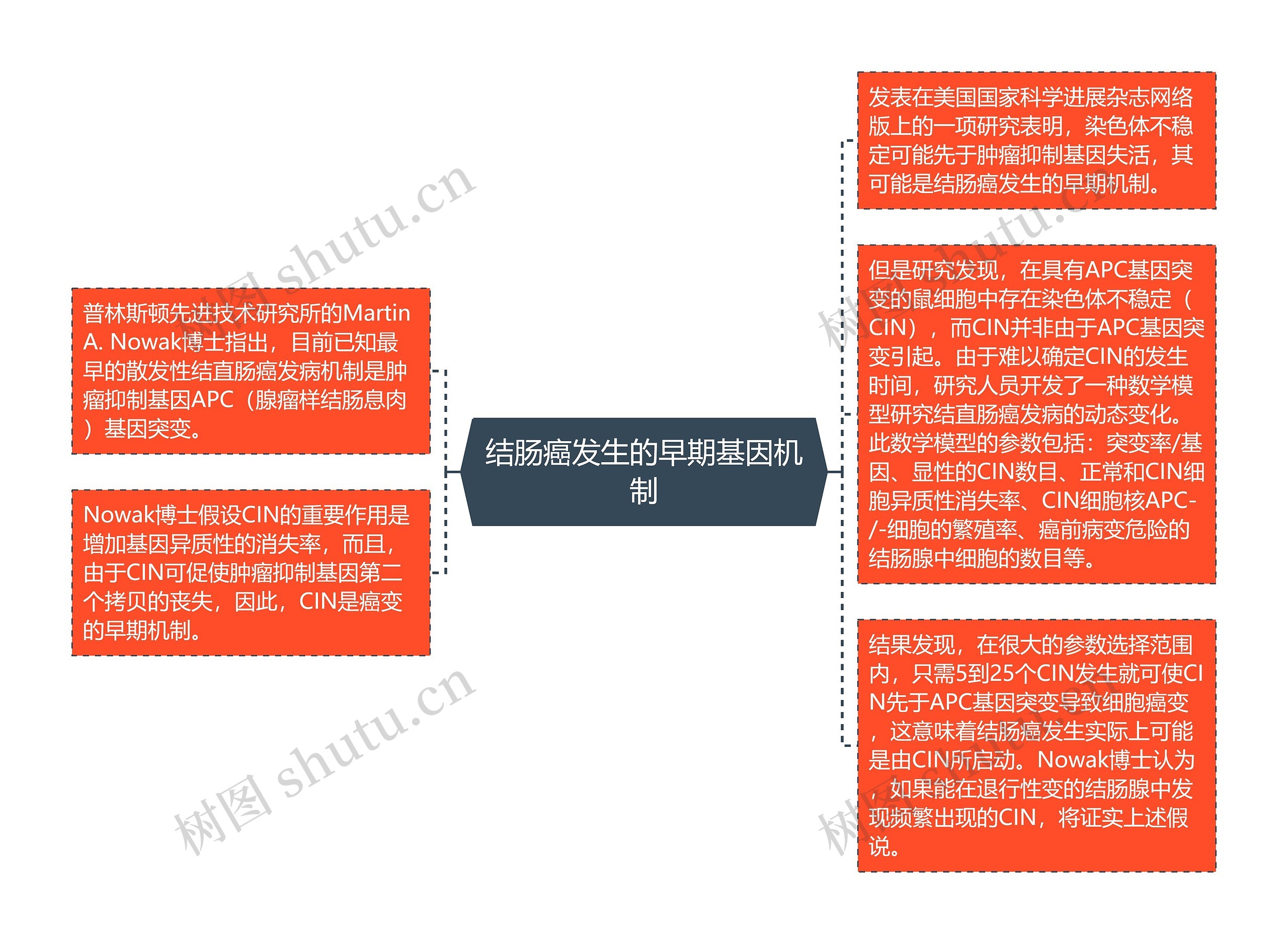 结肠癌发生的早期基因机制