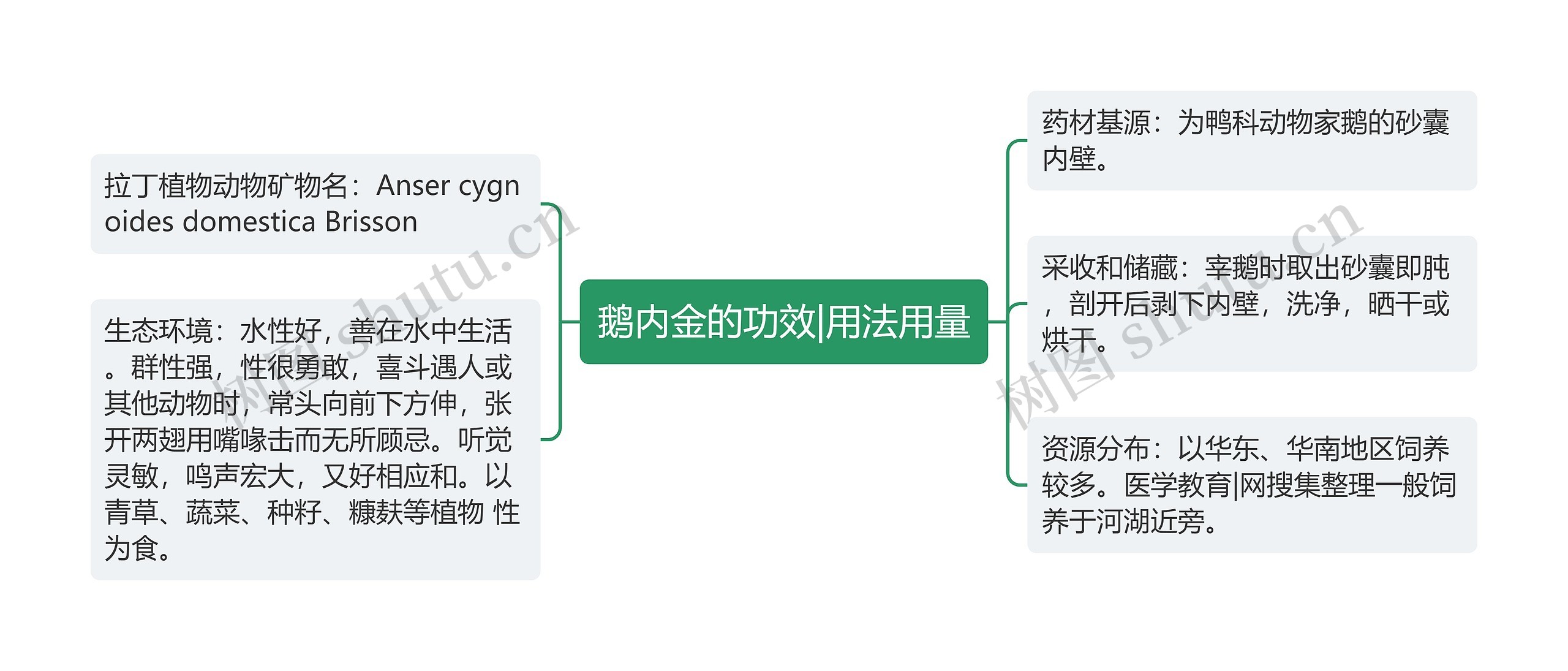 鹅内金的功效|用法用量