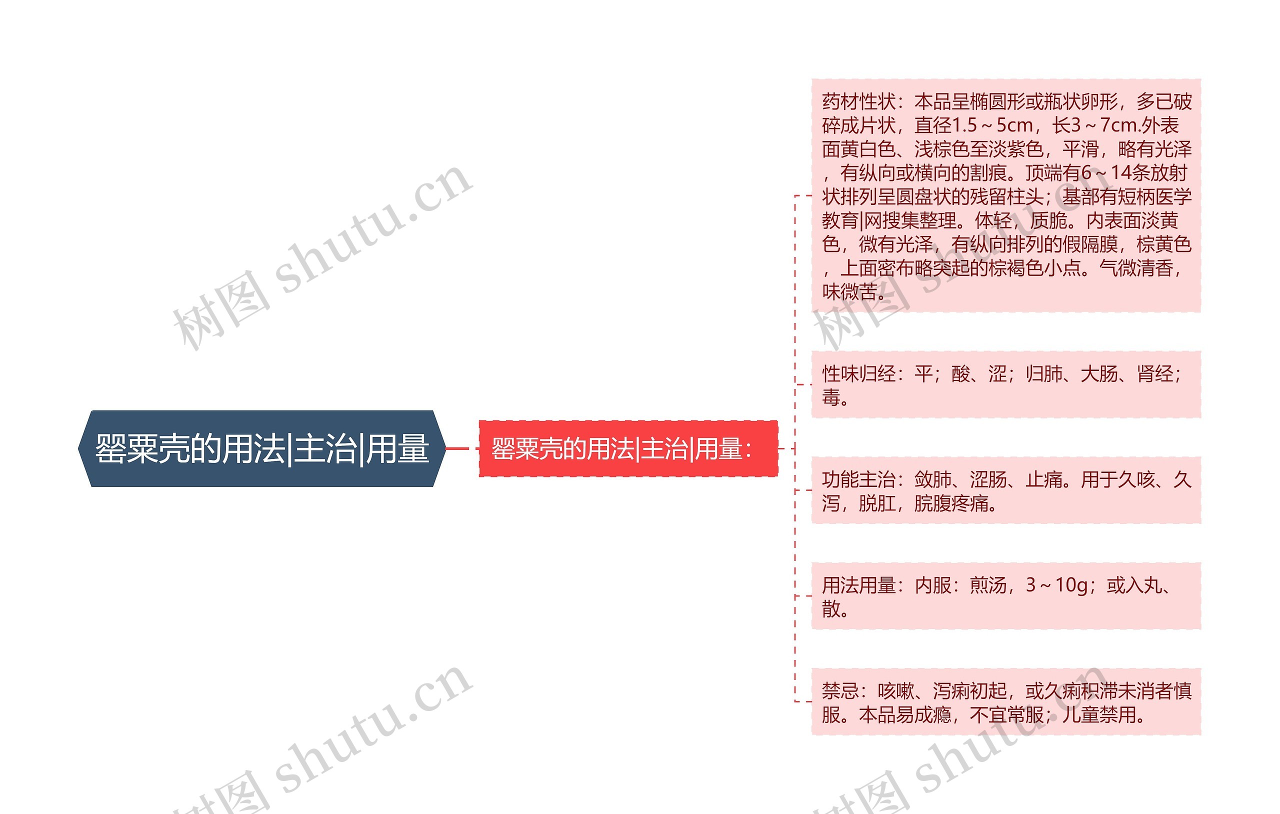 罂粟壳的用法|主治|用量思维导图