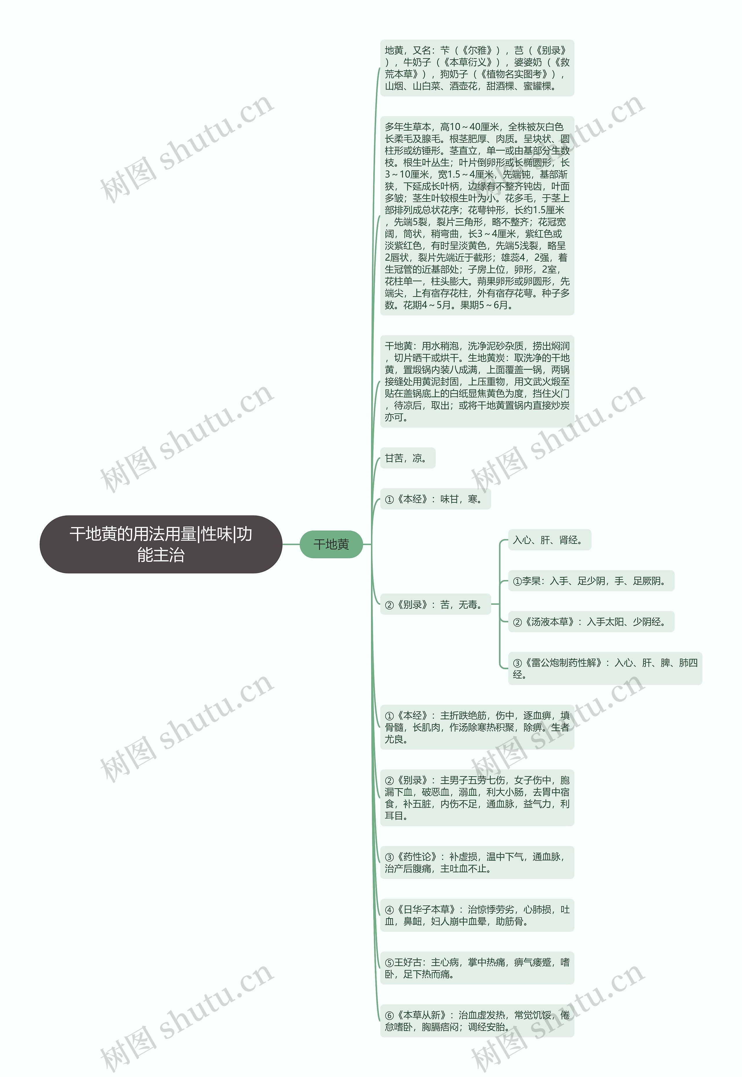 干地黄的用法用量|性味|功能主治思维导图