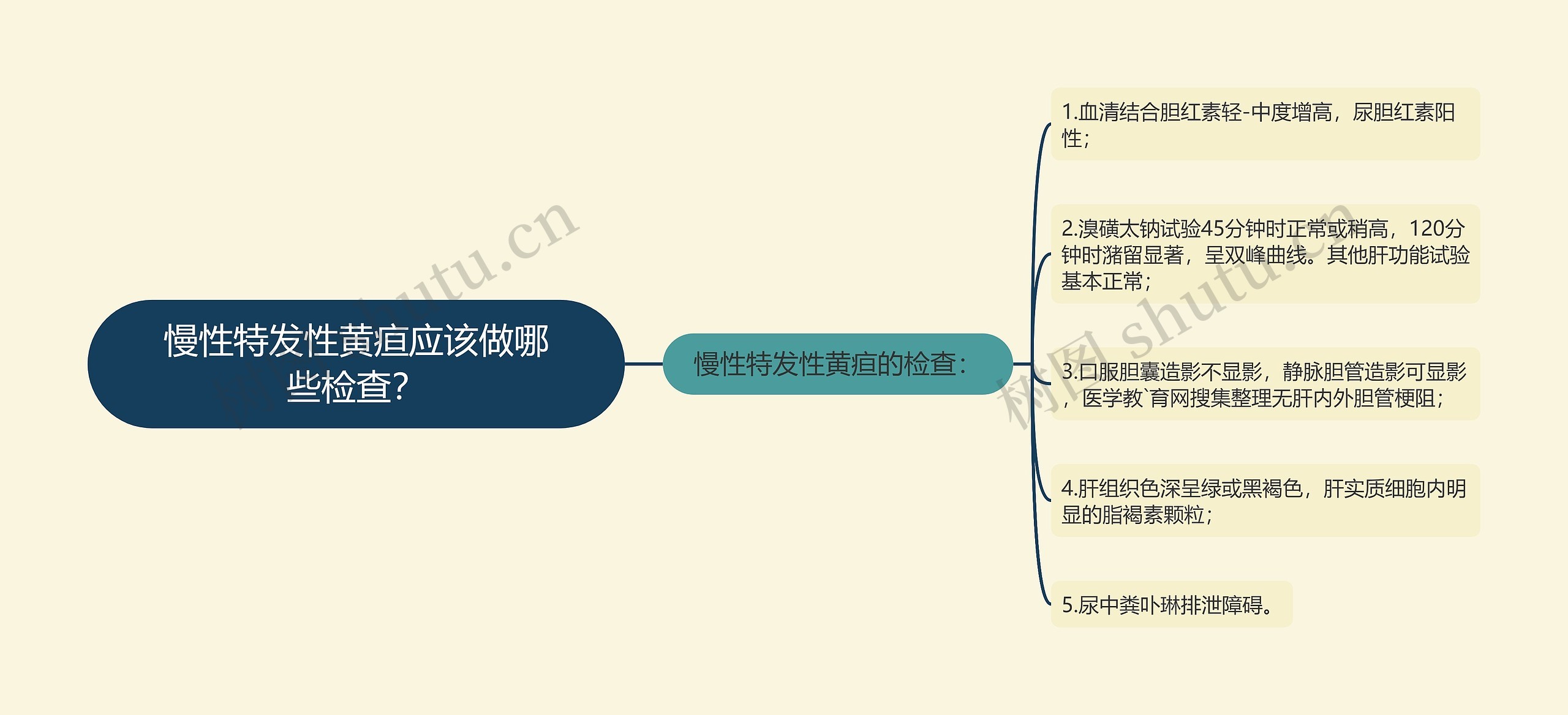 慢性特发性黄疸应该做哪些检查？