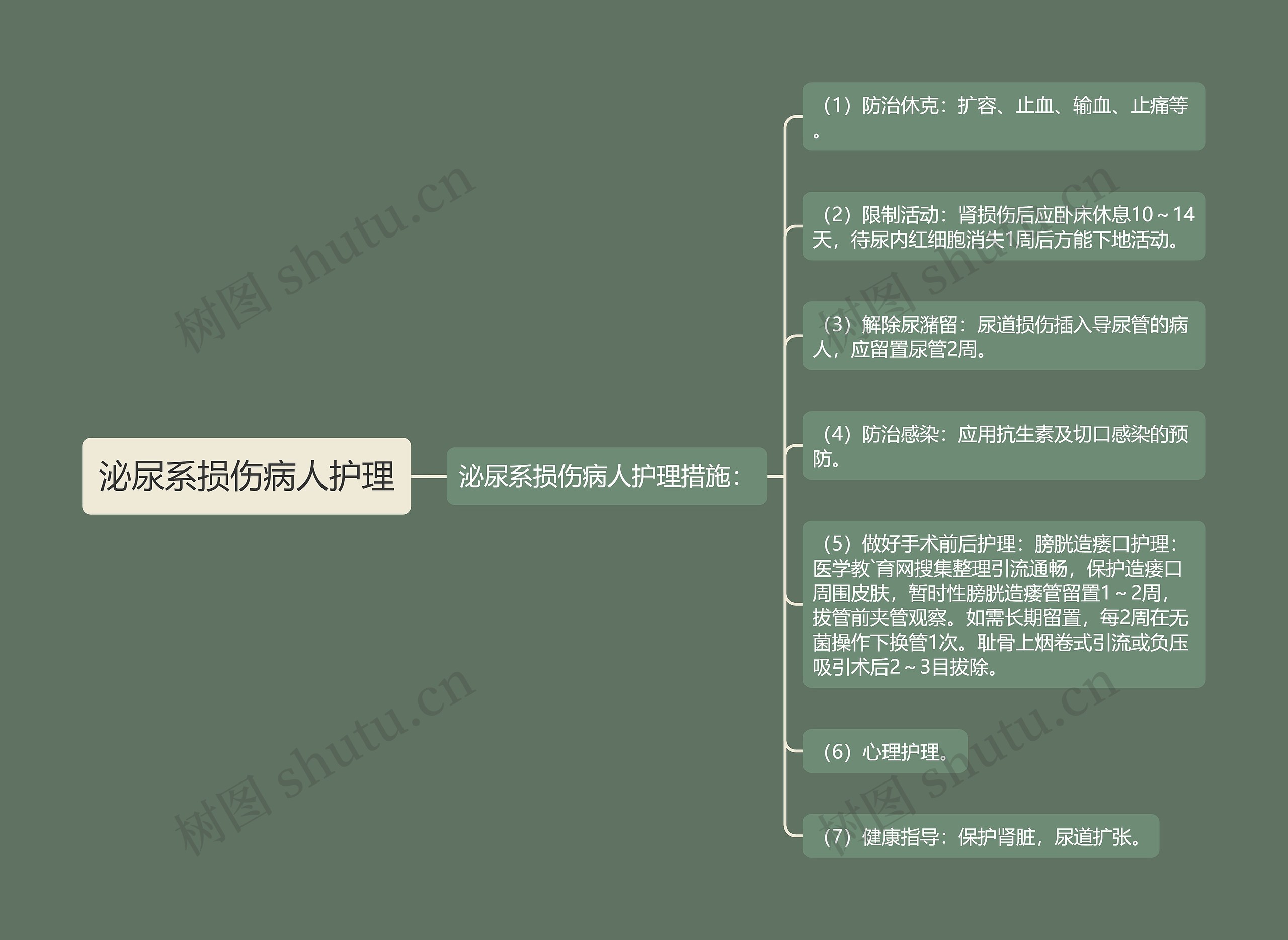 泌尿系损伤病人护理思维导图