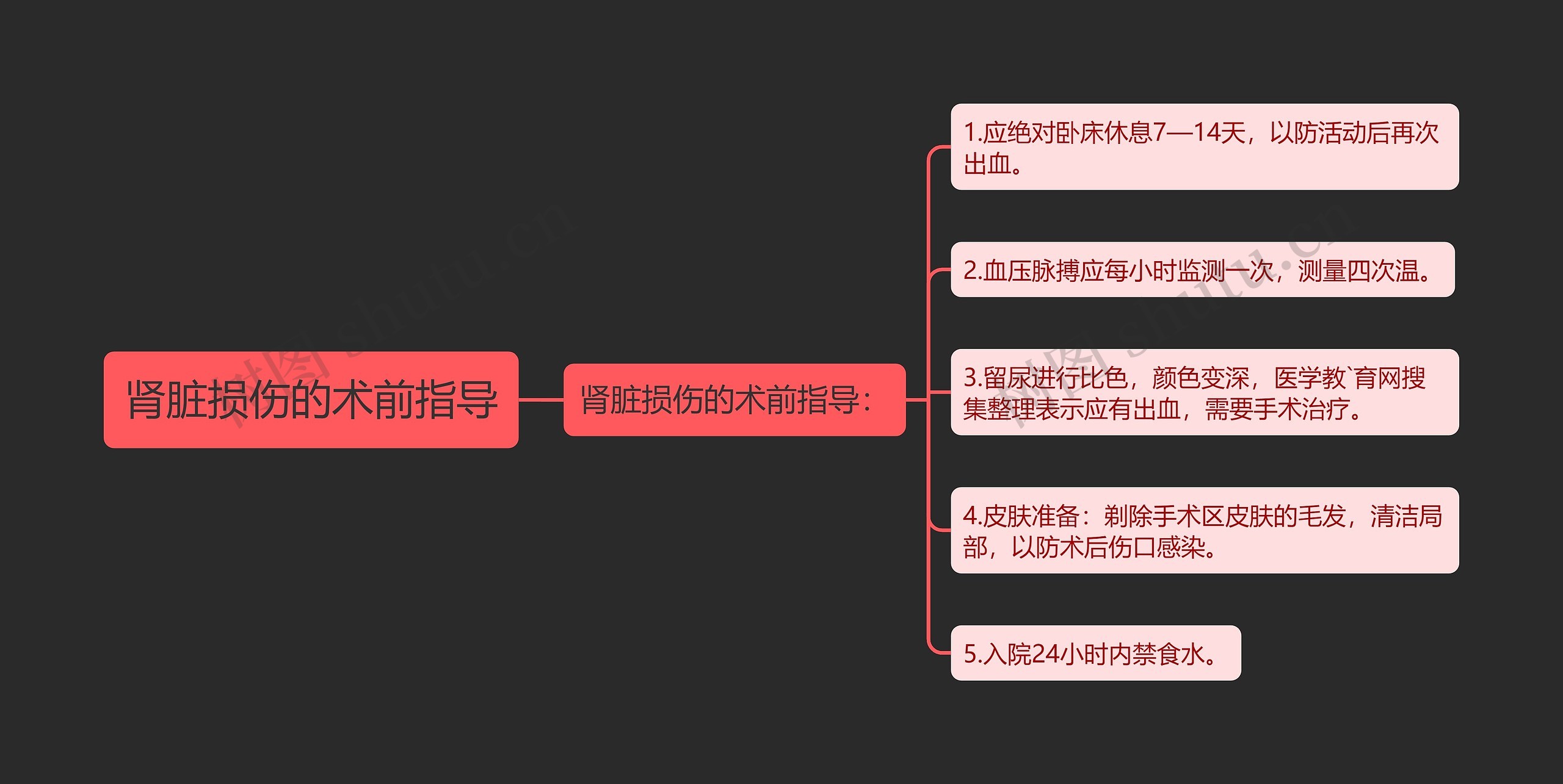 肾脏损伤的术前指导思维导图