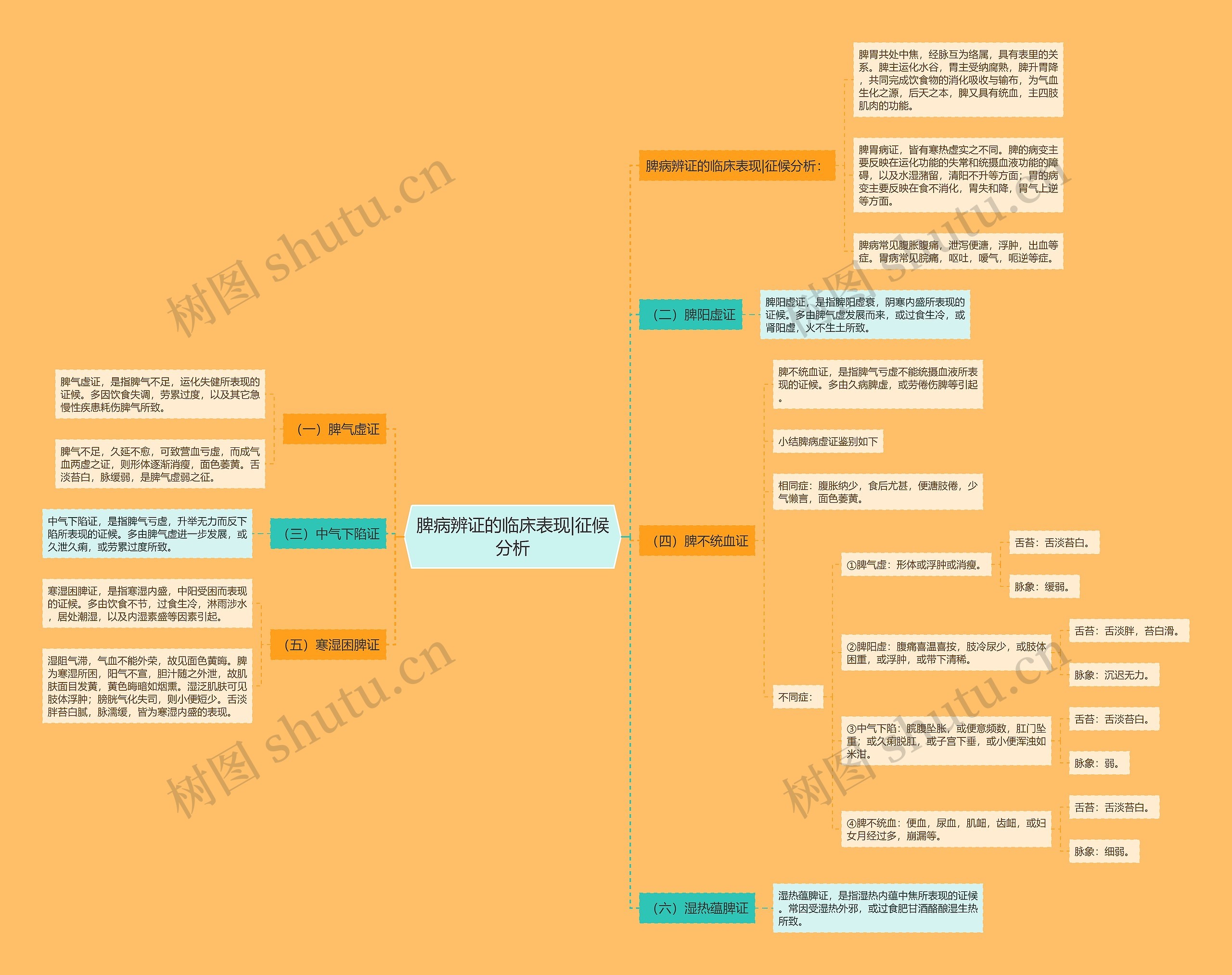 脾病辨证的临床表现|征候分析 脾病辨证的临床表现|征候分析