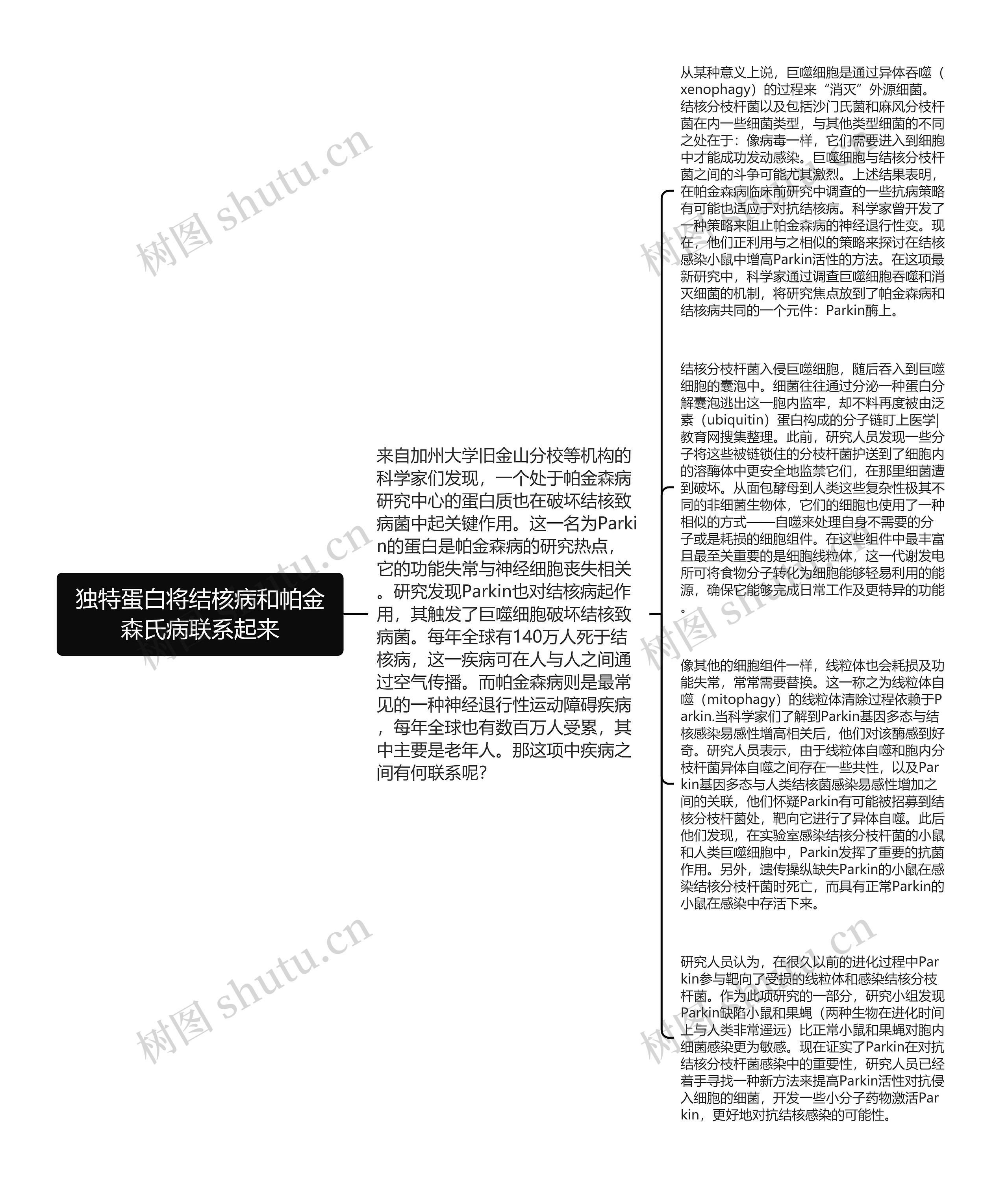 独特蛋白将结核病和帕金森氏病联系起来思维导图