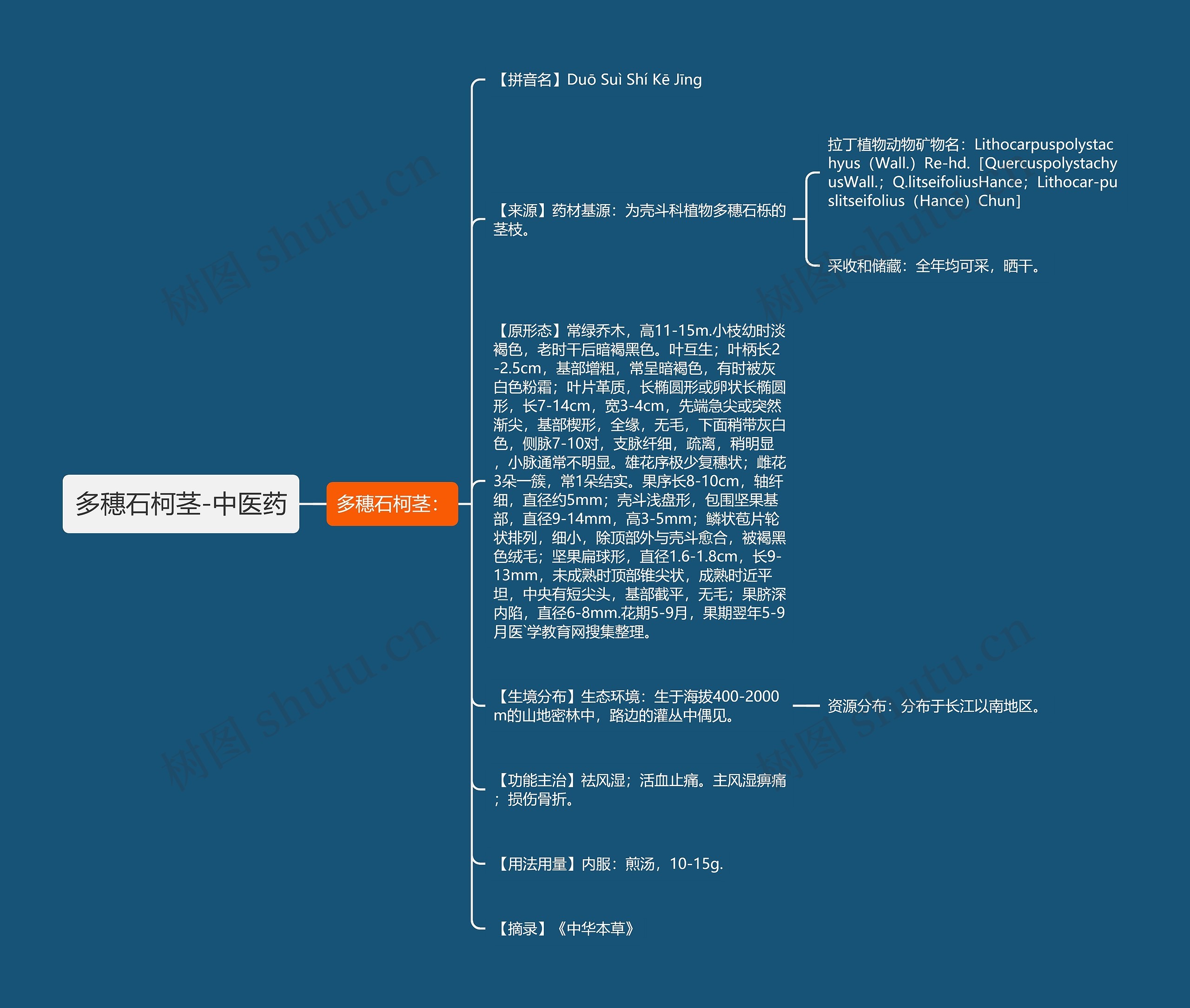 多穗石柯茎-中医药思维导图
