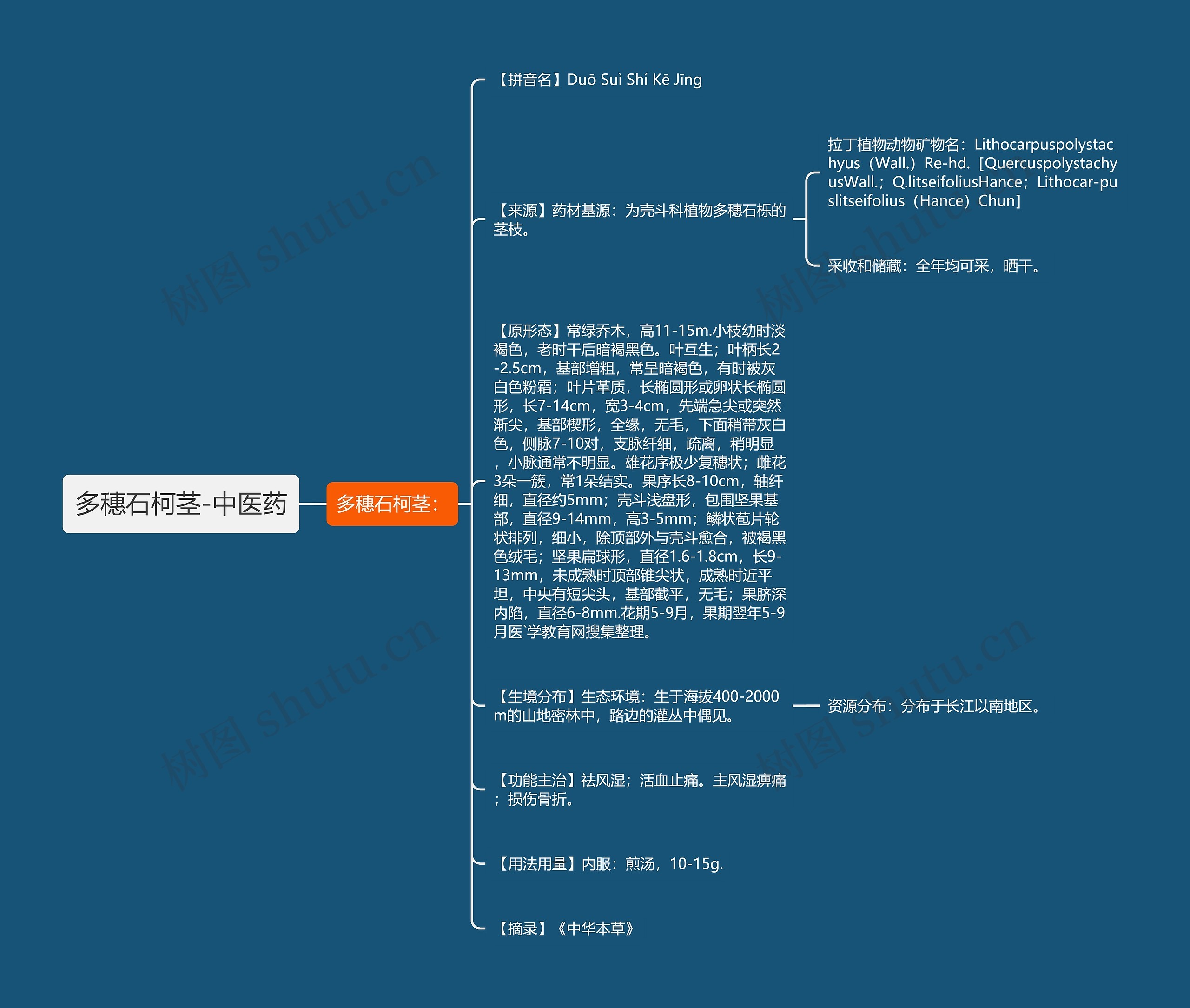 多穗石柯茎-中医药 多穗石柯茎-中医药