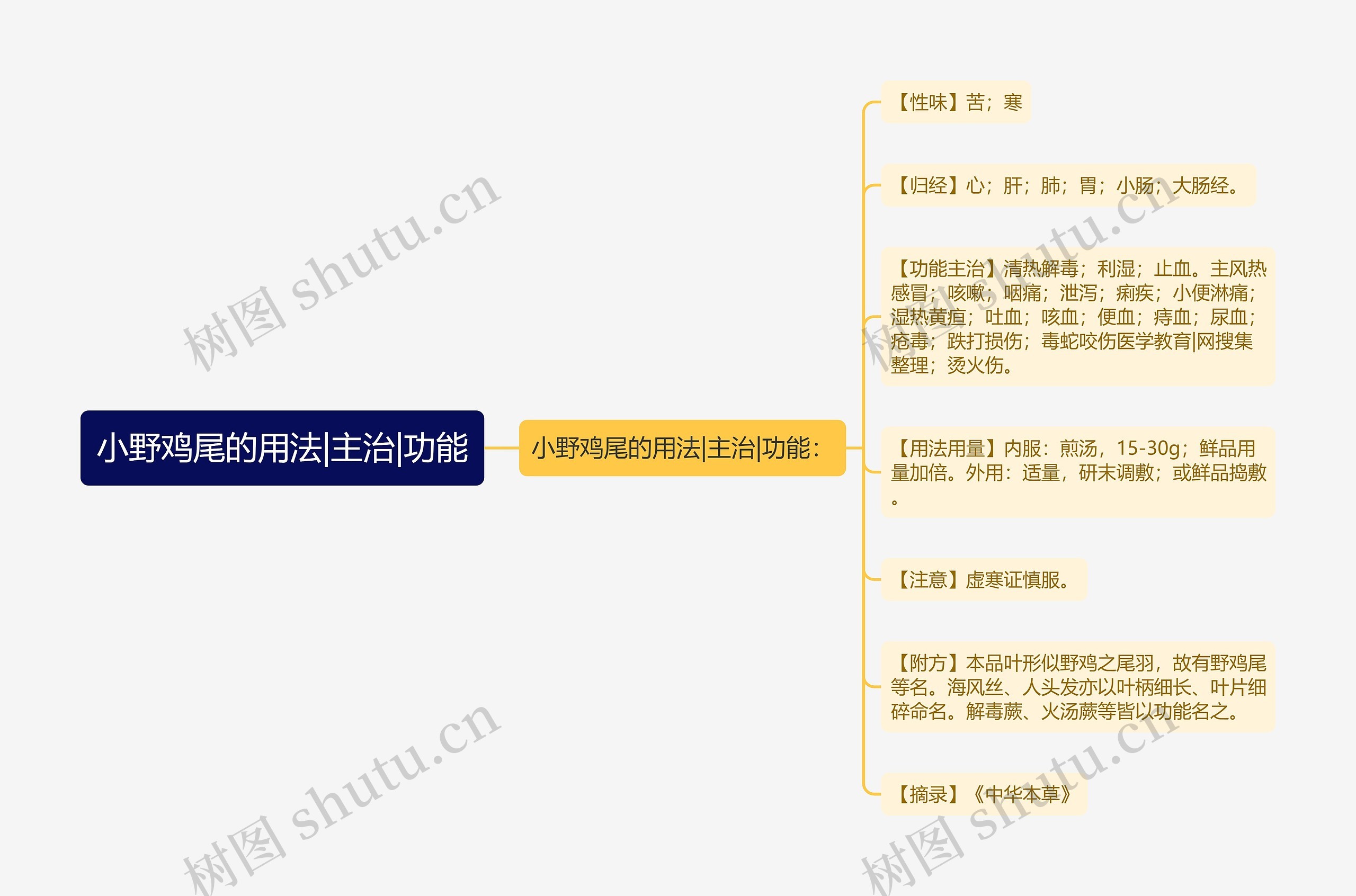 小野鸡尾的用法|主治|功能思维导图