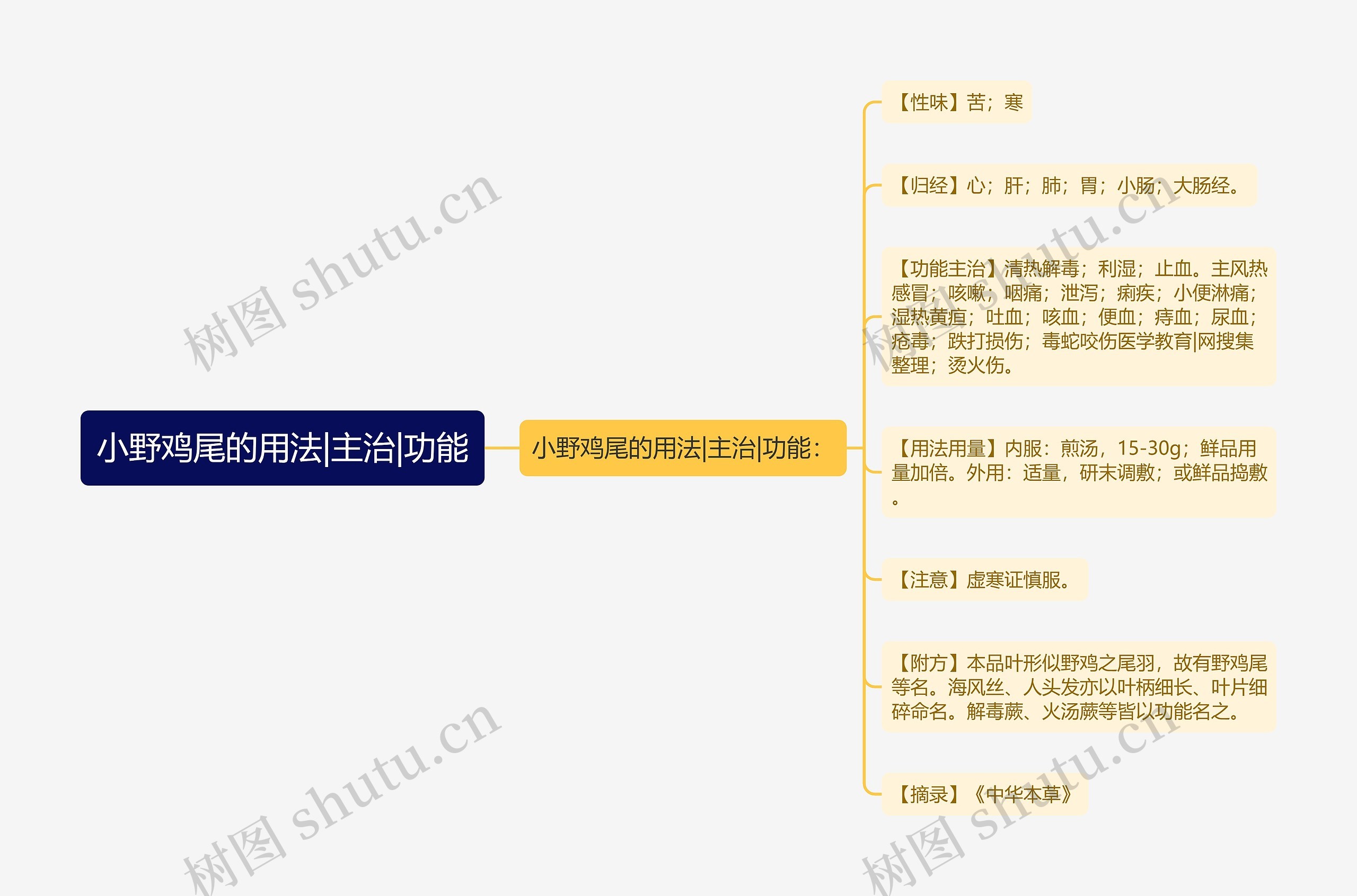 小野鸡尾的用法|主治|功能 小野鸡尾的用法|主治|功能