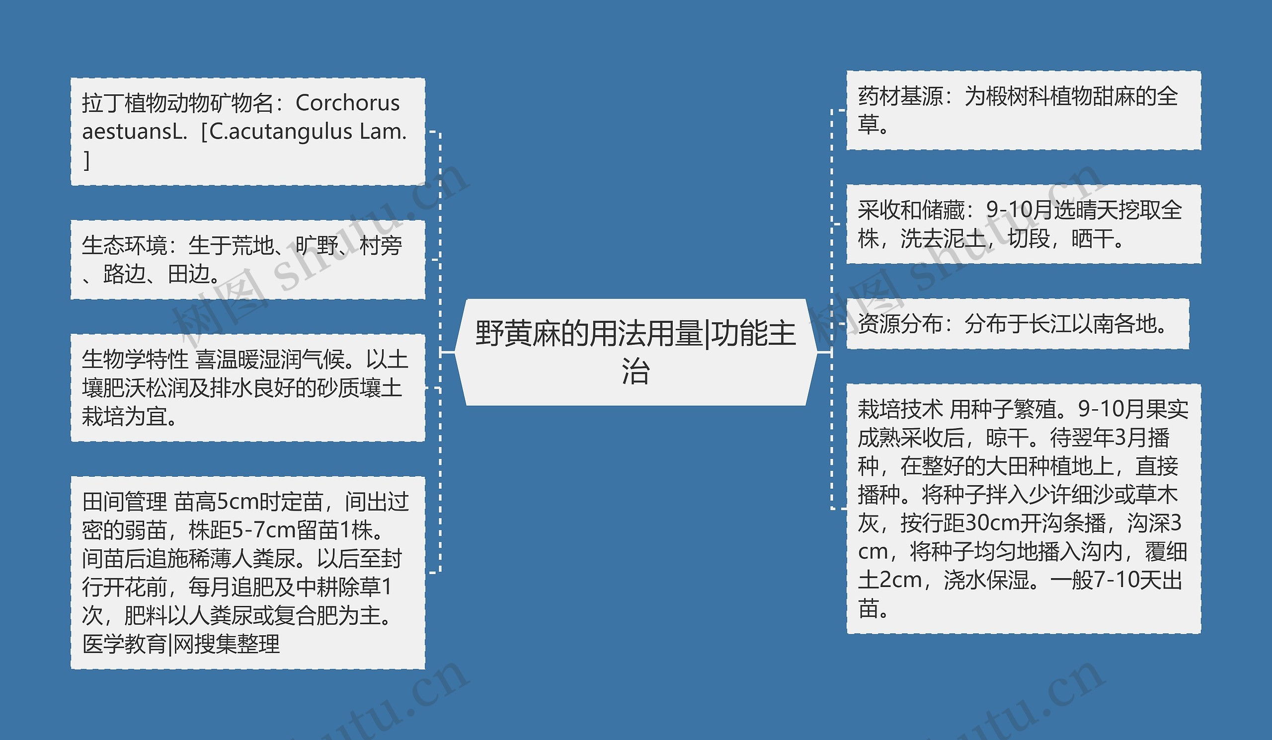 野黄麻的用法用量|功能主治