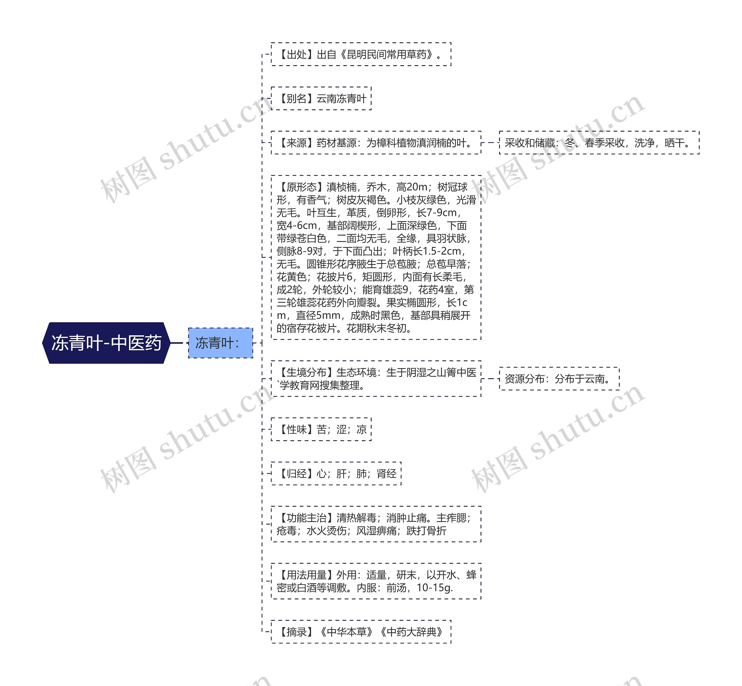 冻青叶-中医药思维导图