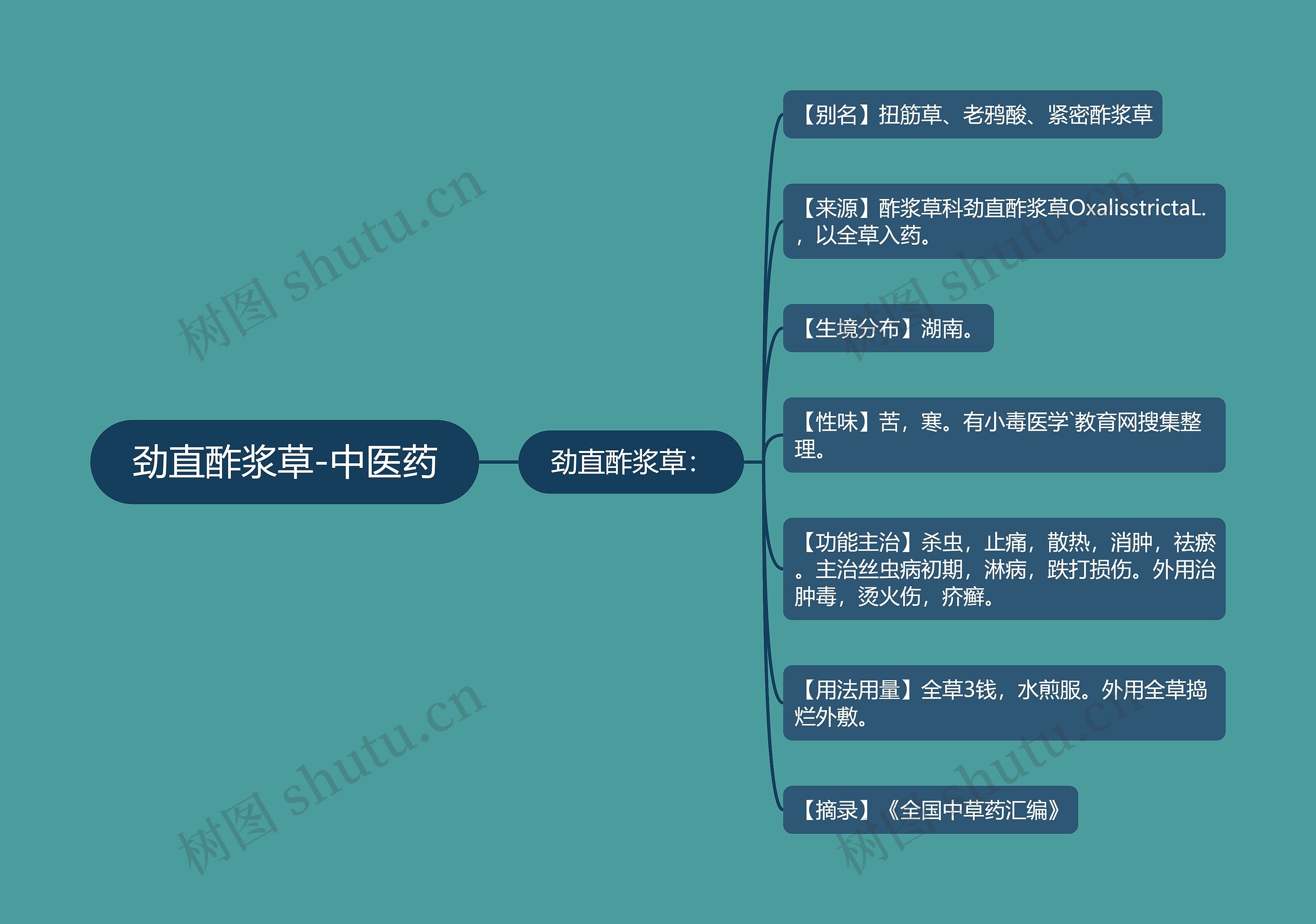 劲直酢浆草-中医药 劲直酢浆草-中医药