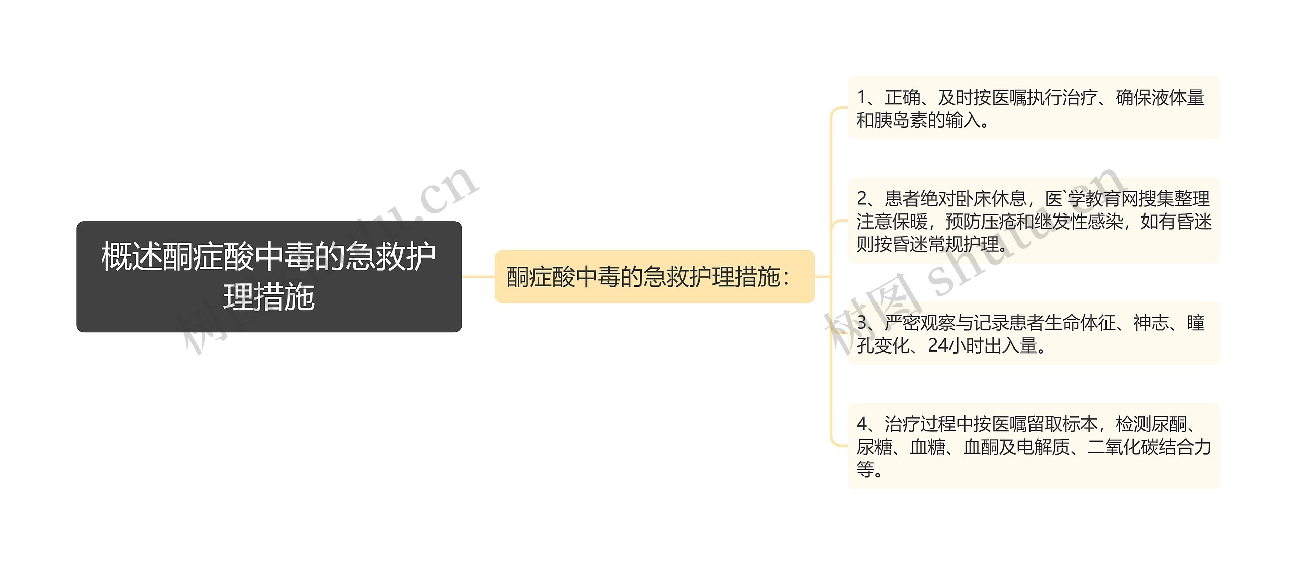 概述酮症酸中毒的急救护理措施思维导图