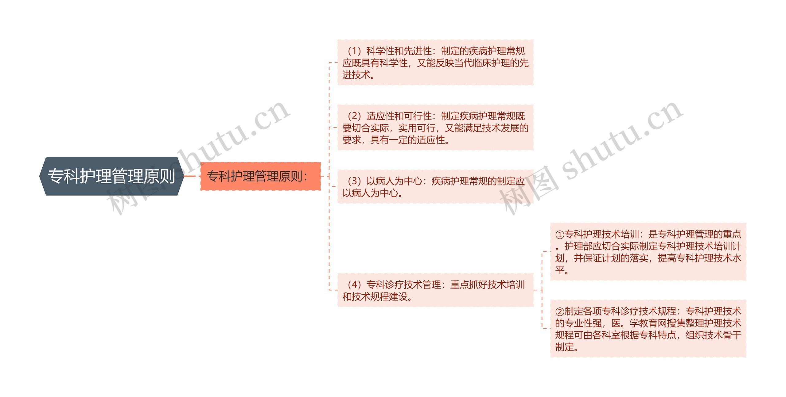 专科护理管理原则