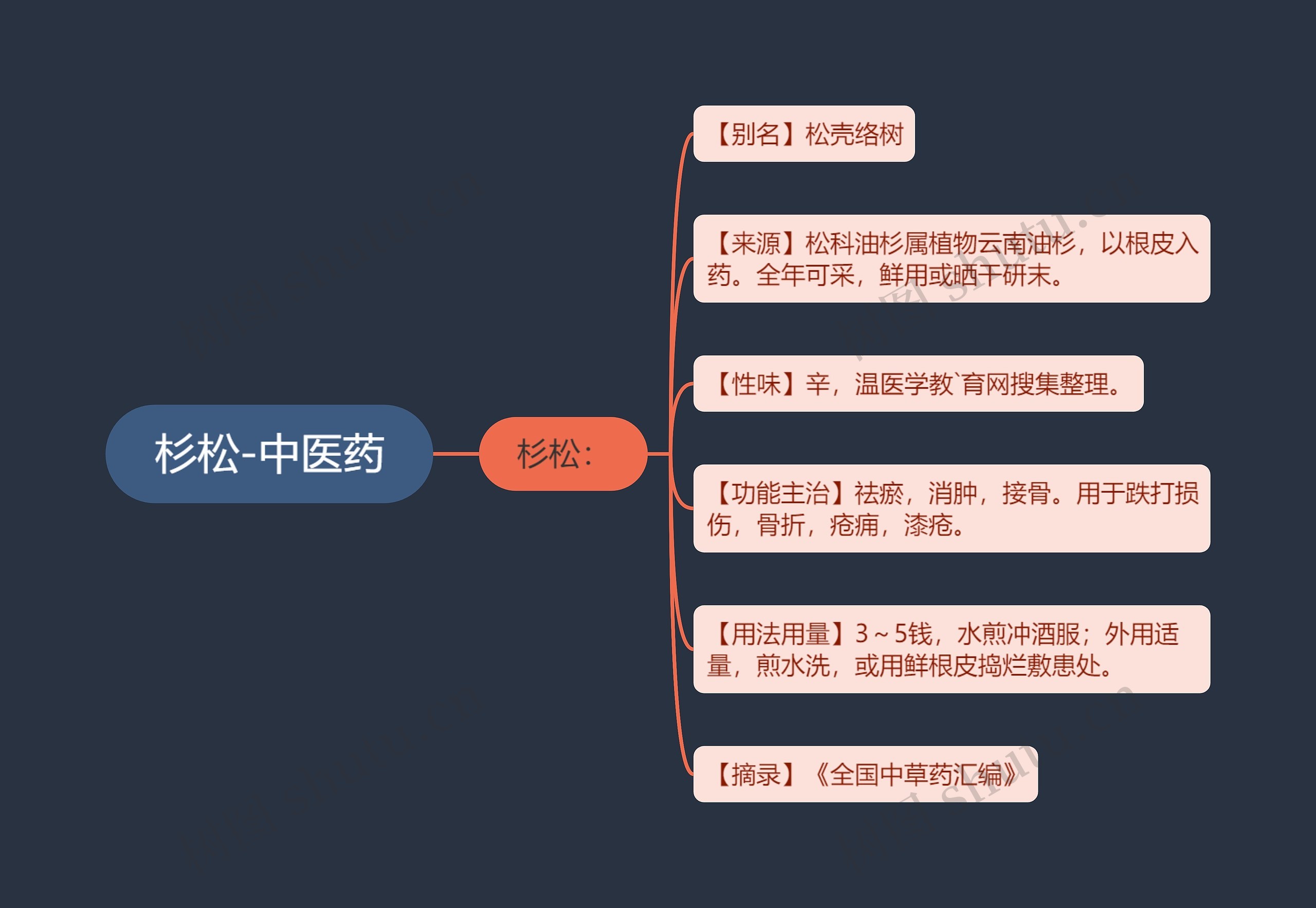 杉松-中医药思维导图