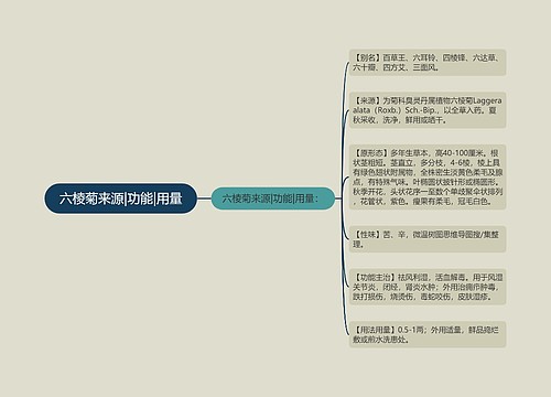 六棱菊来源|功能|用量