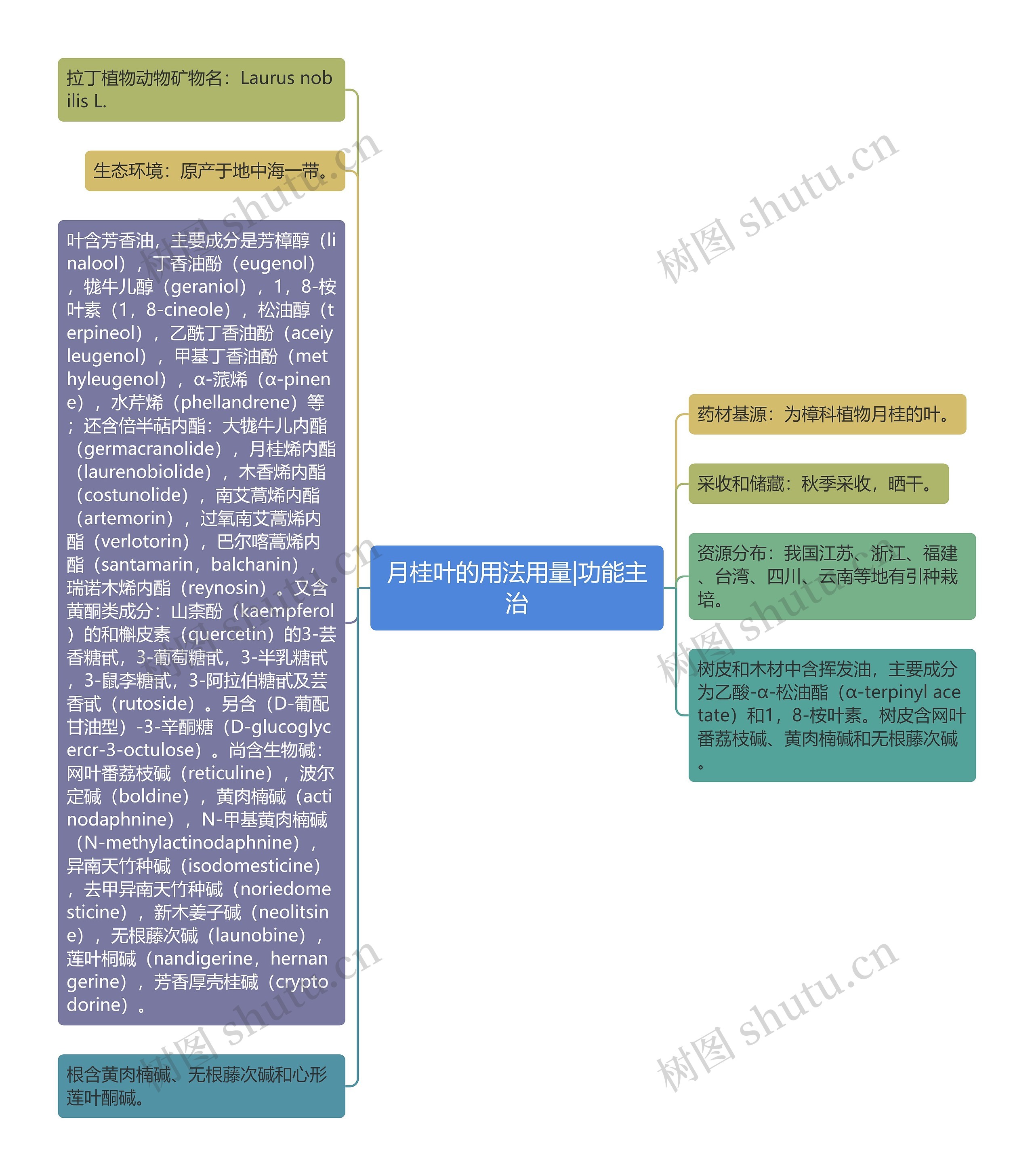 月桂叶的用法用量|功能主治