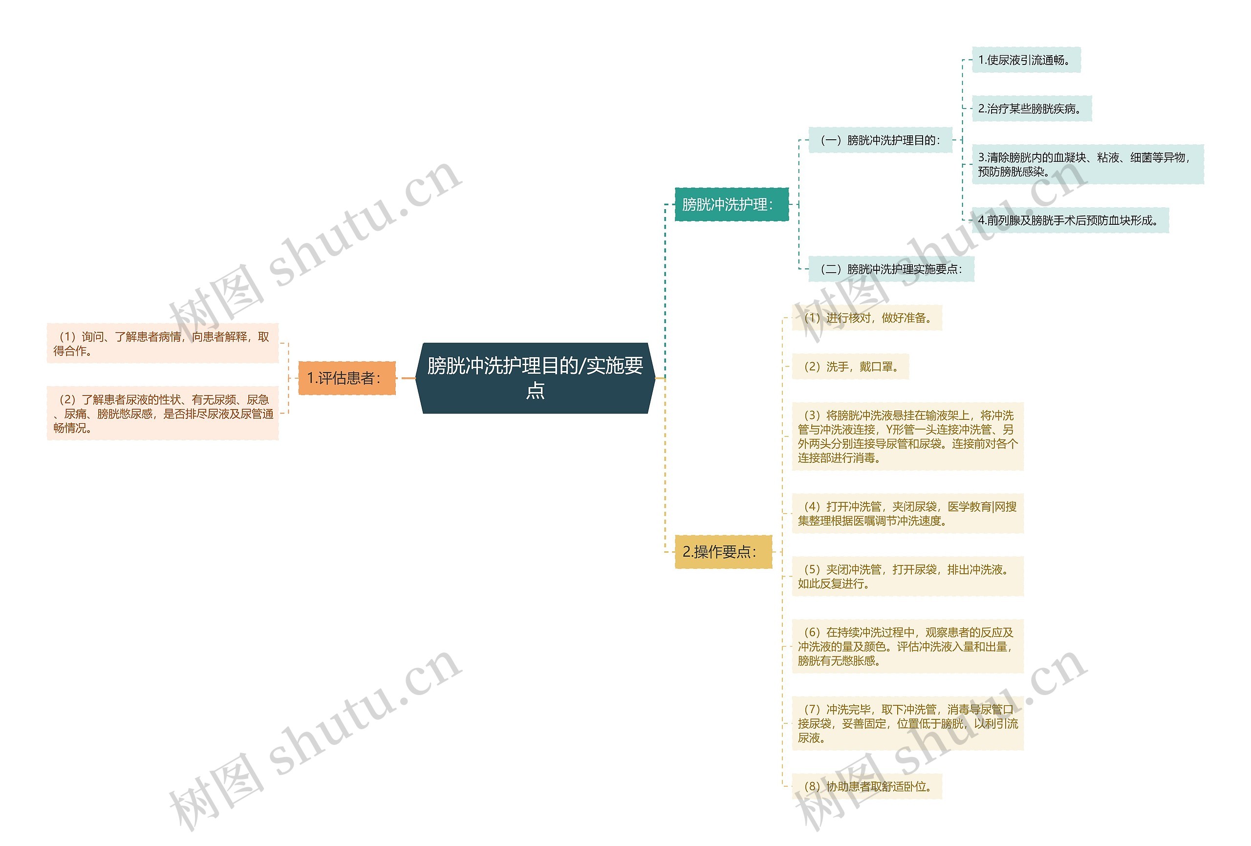 膀胱冲洗护理目的/实施要点 膀胱冲洗护理目的/实施要点