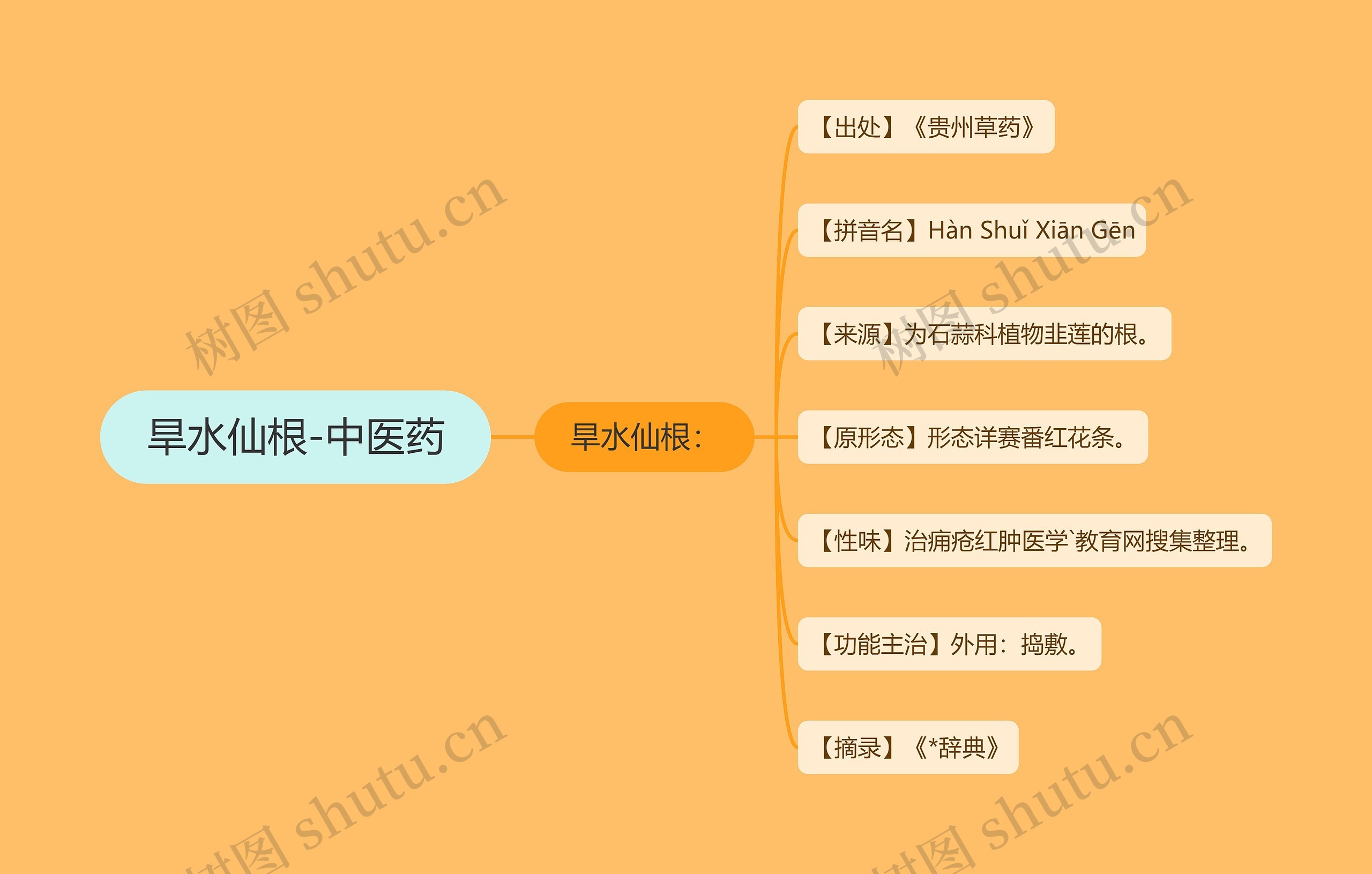 旱水仙根-中医药思维导图