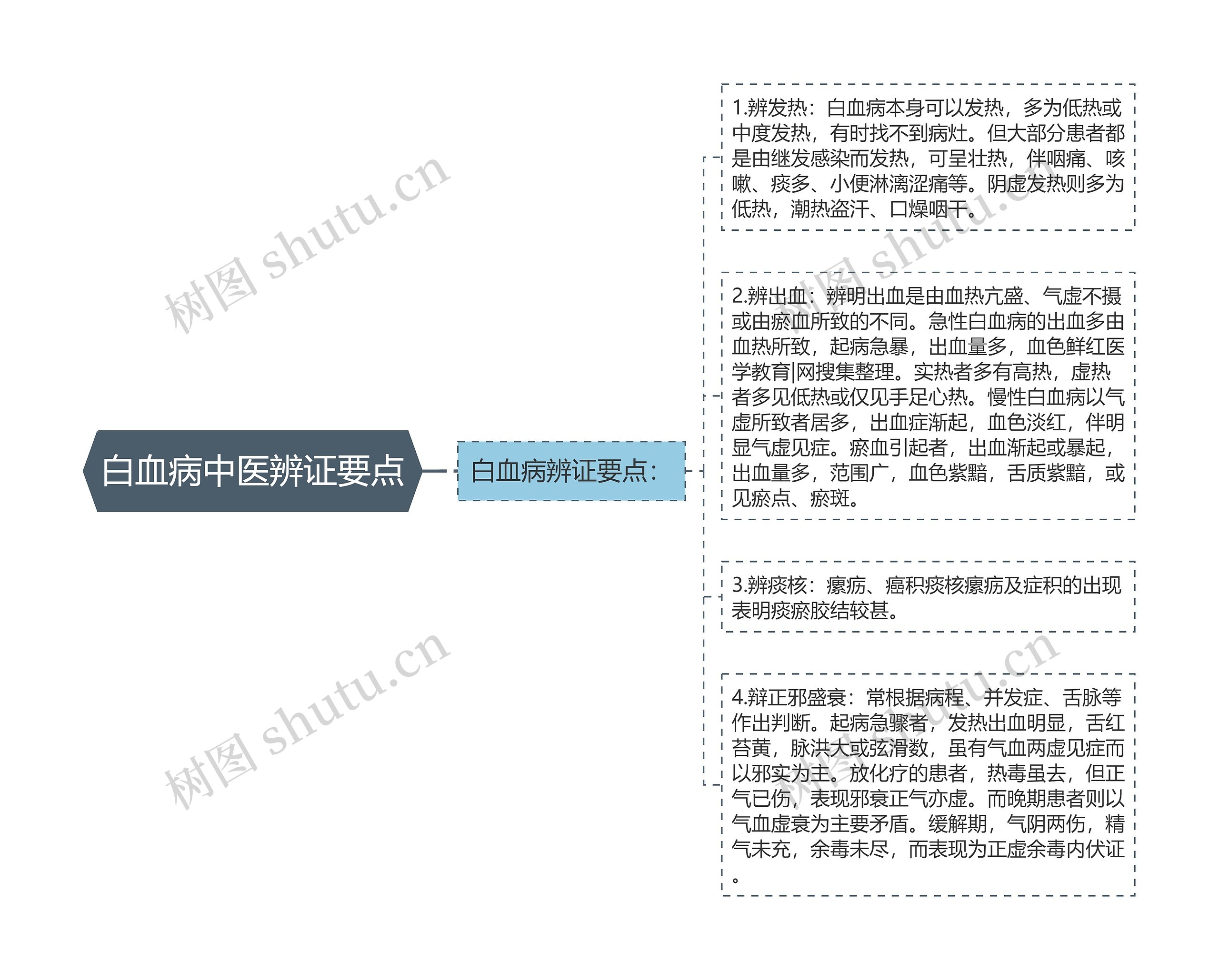 白血病中医辨证要点