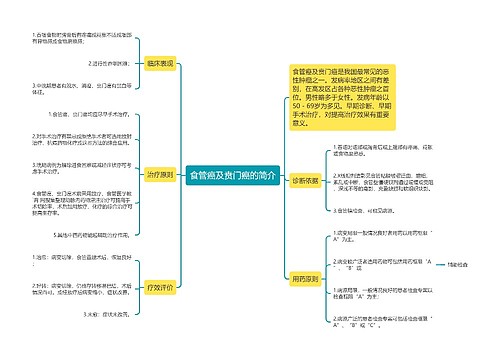 食管癌及贲门癌的简介