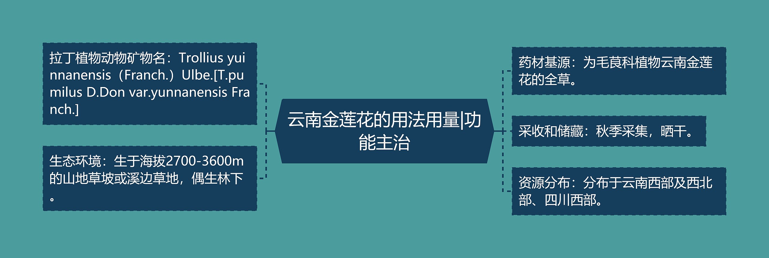 云南金莲花的用法用量|功能主治