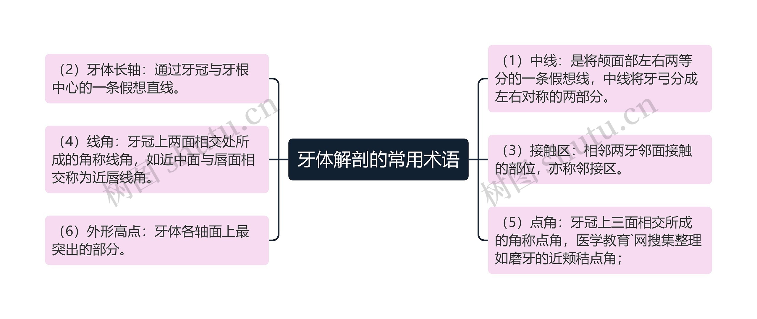 牙体解剖的常用术语 牙体解剖的常用术语