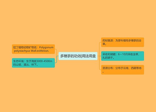 多穗蓼的功效|用法用量