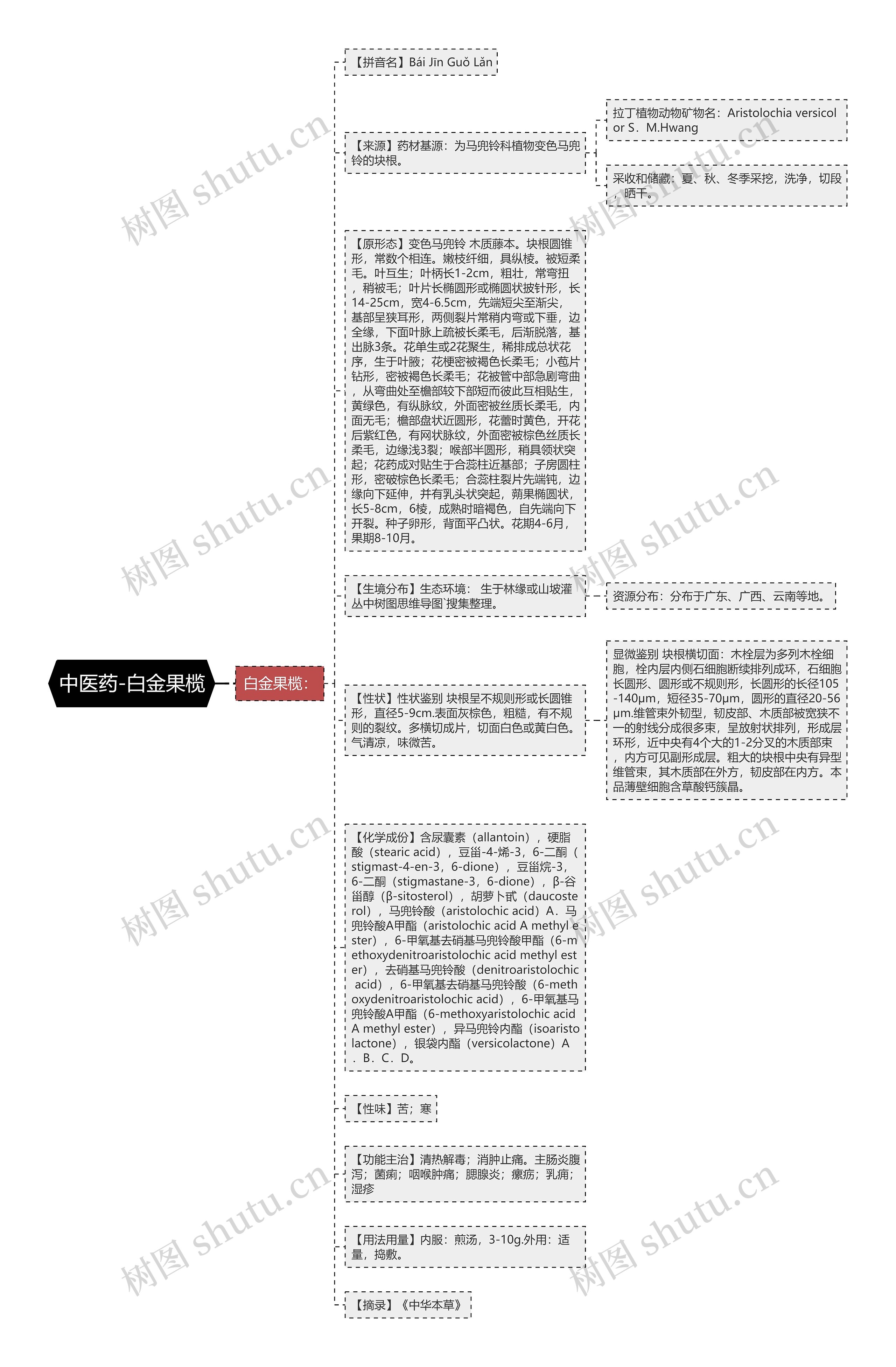 中医药-白金果榄思维导图