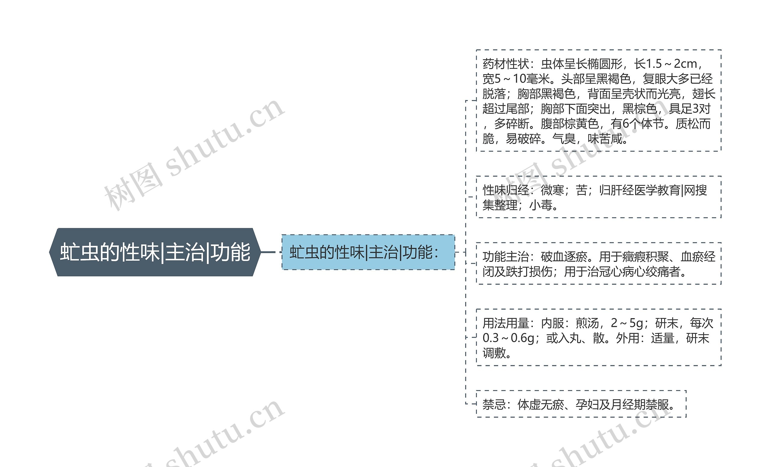 虻虫的性味|主治|功能思维导图