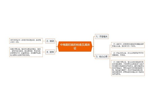 中晚期妊娠的检查及其体征