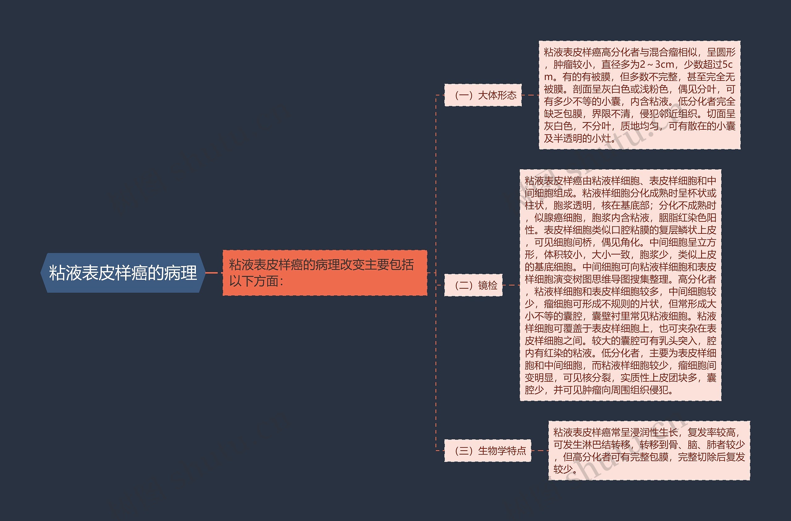 粘液表皮样癌的病理 粘液表皮样癌的病理