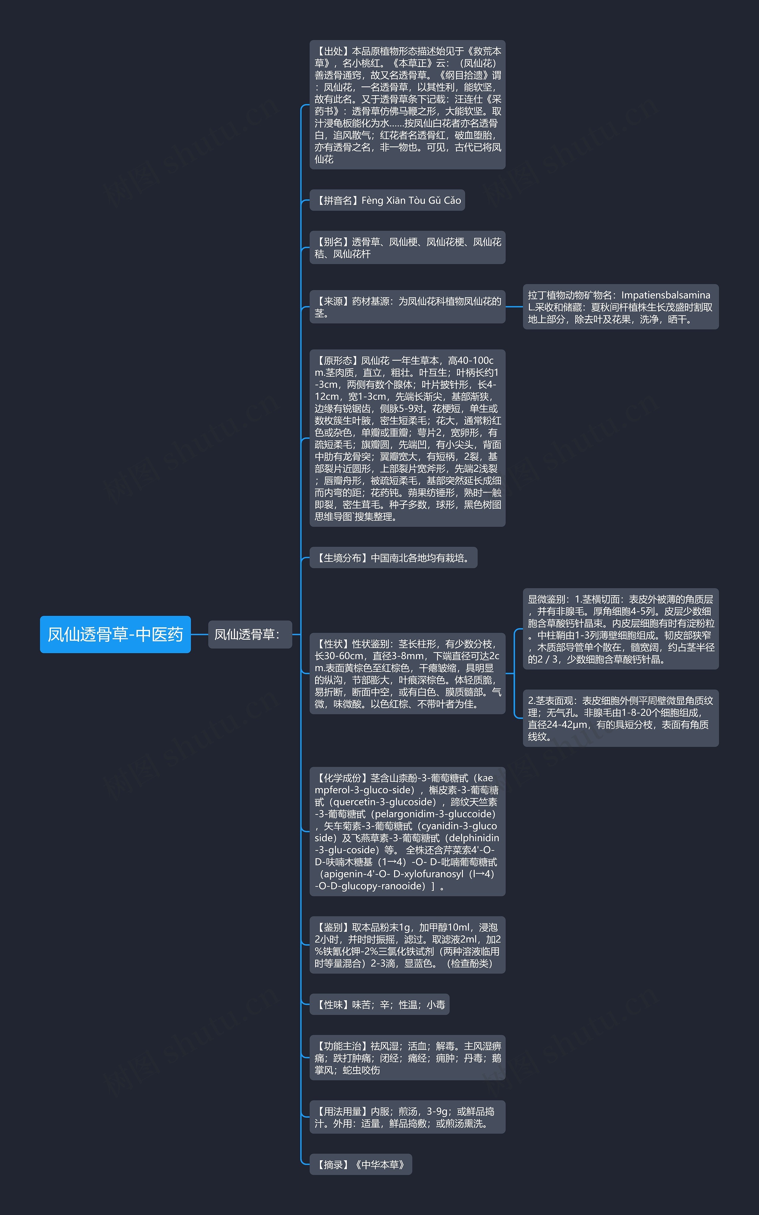 凤仙透骨草-中医药思维导图